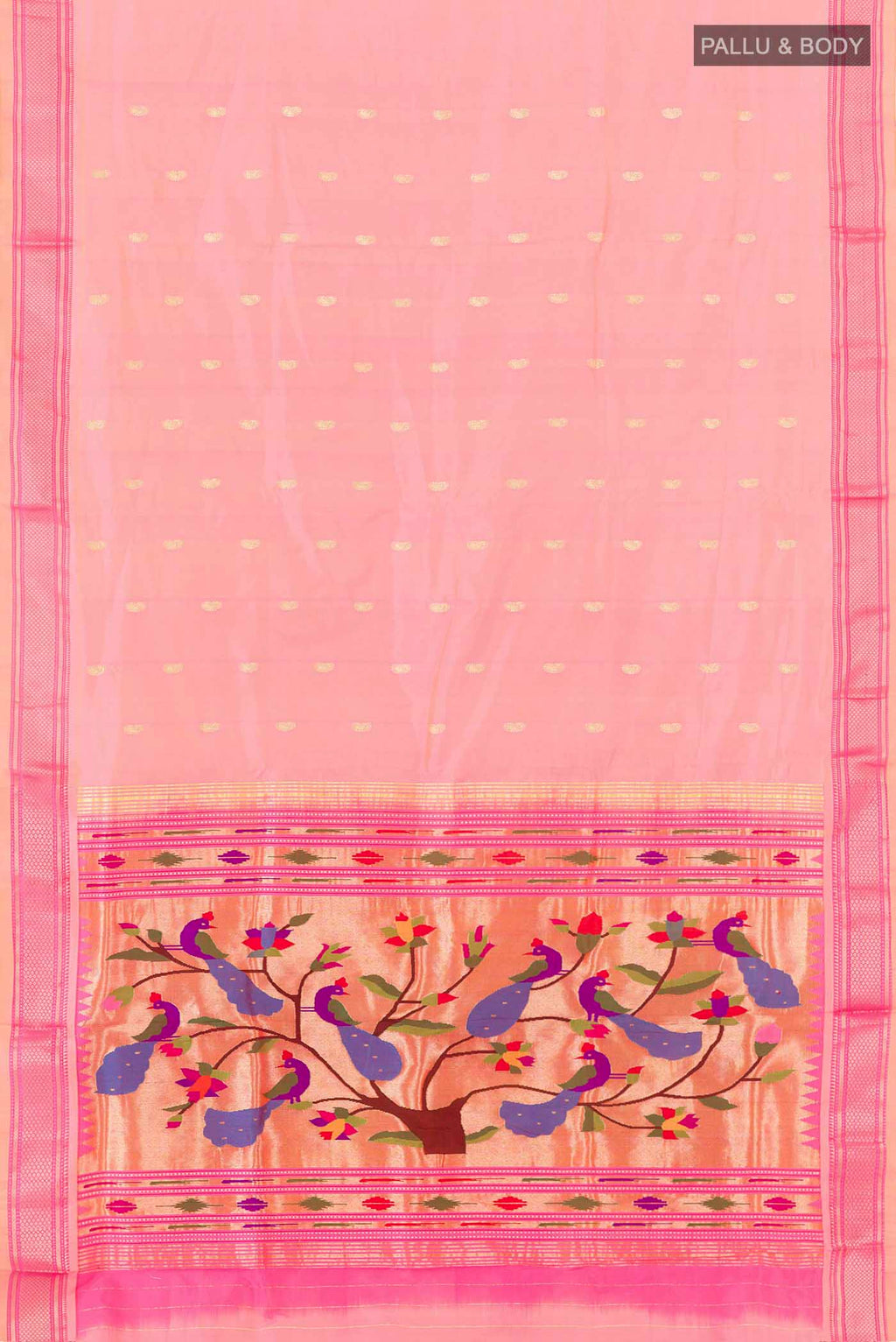 pallu body
