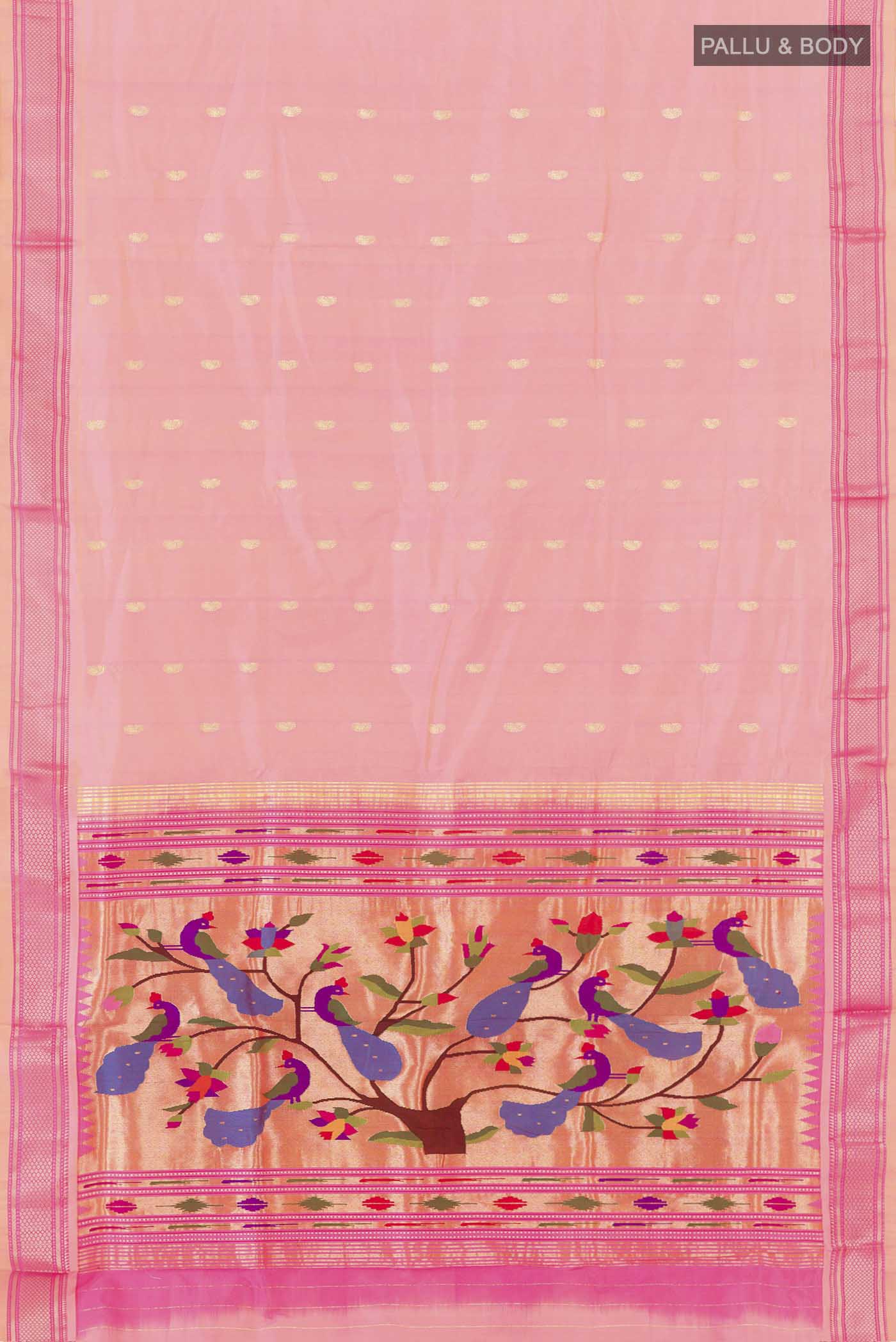 pallu body
