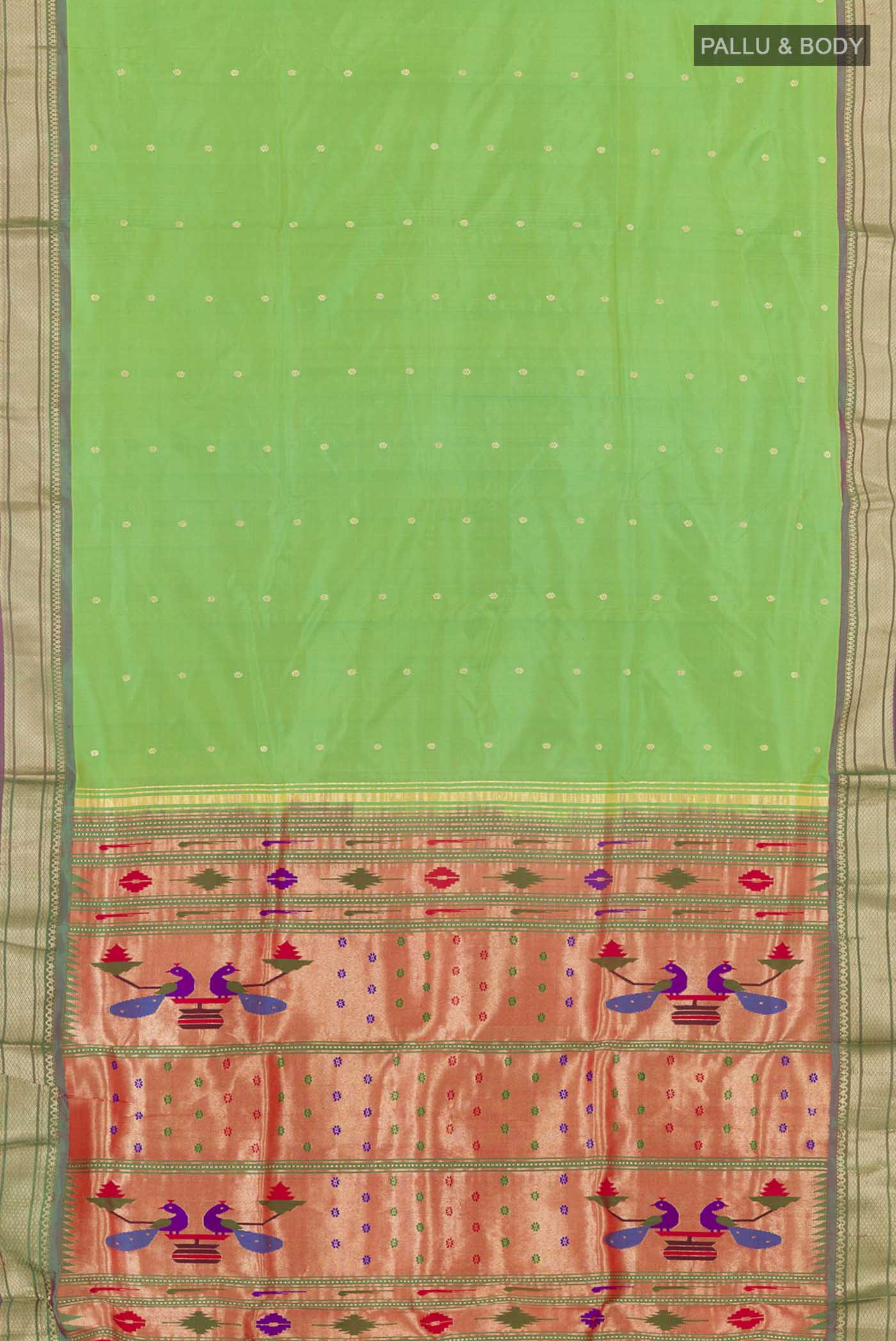 pallu body
