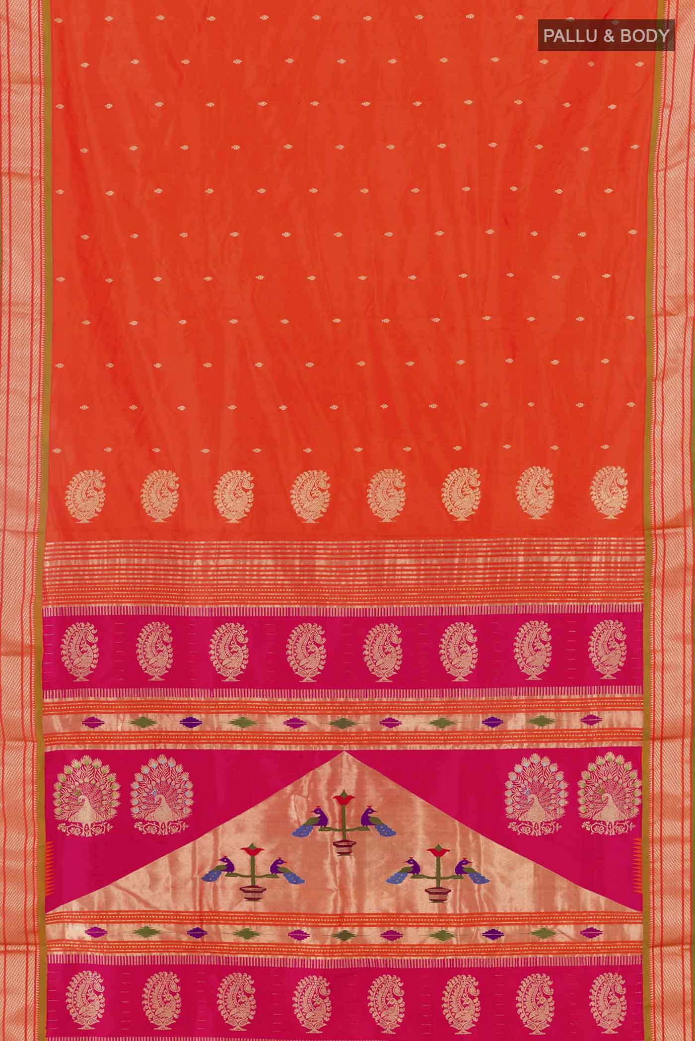 pallu body