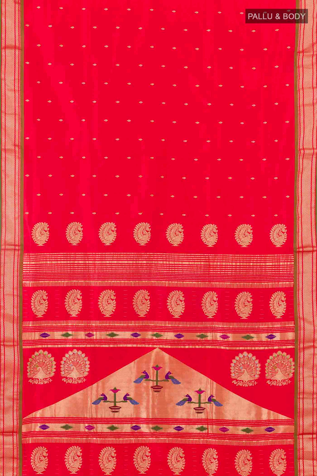 pallu body