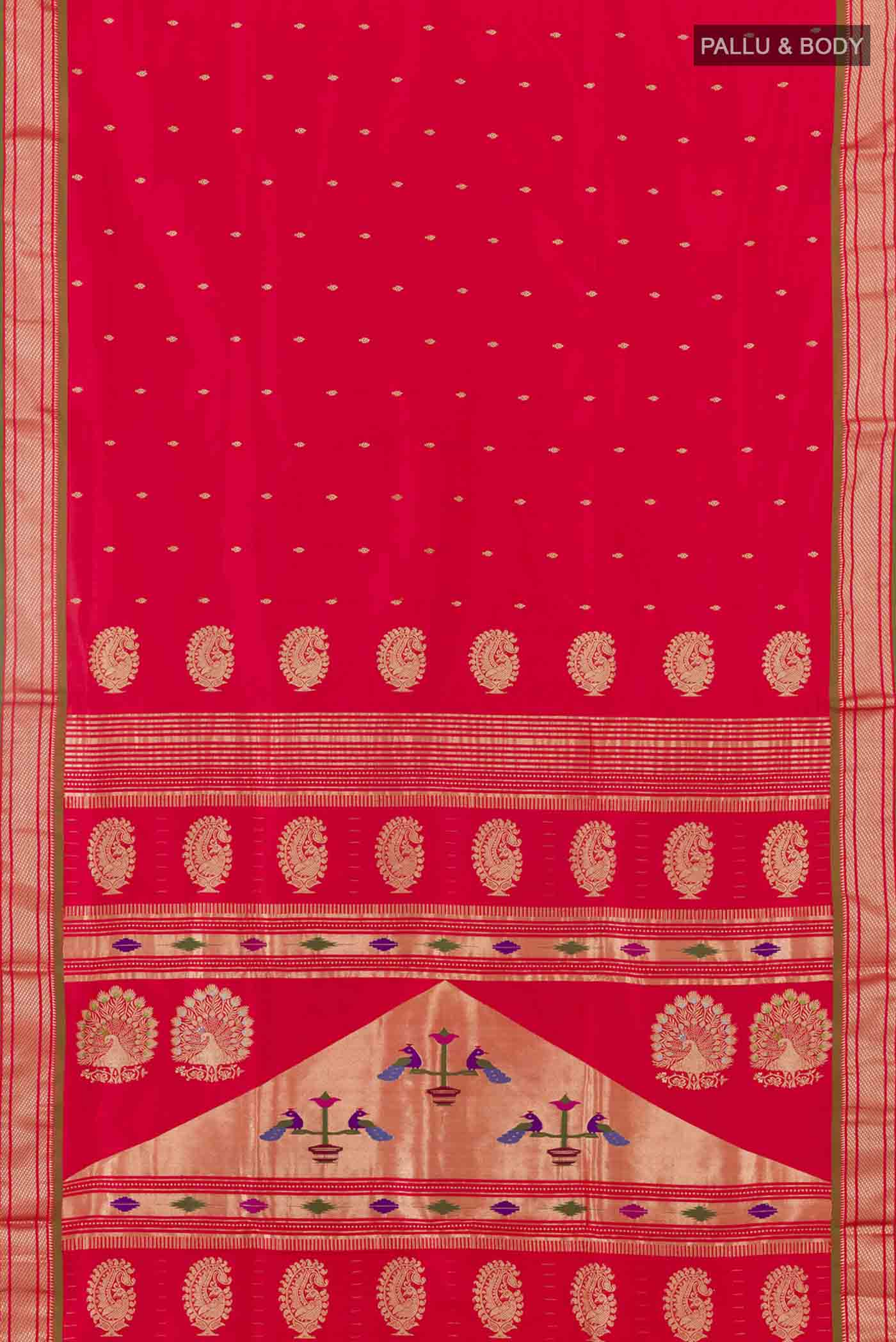 pallu body