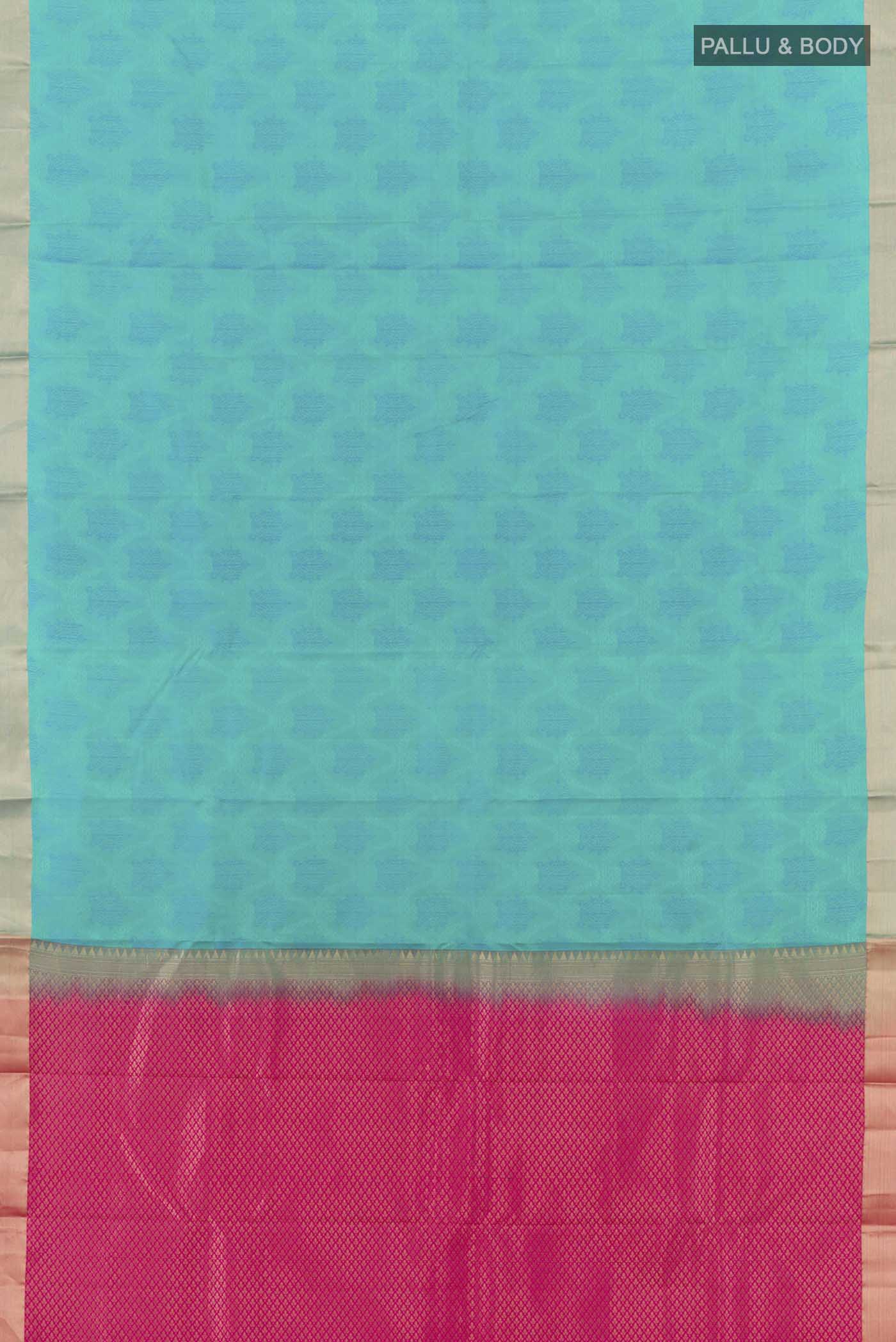 pallu body