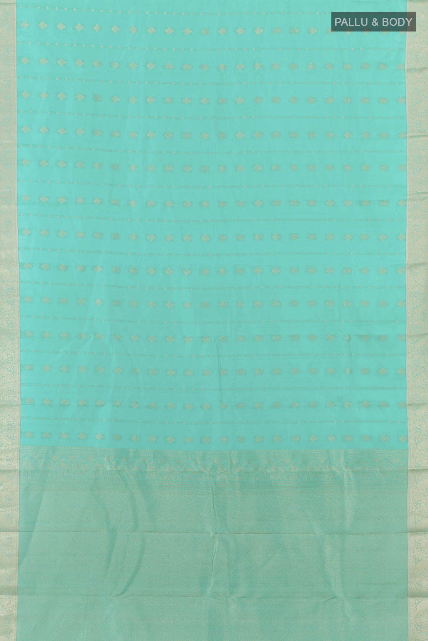 pallu body