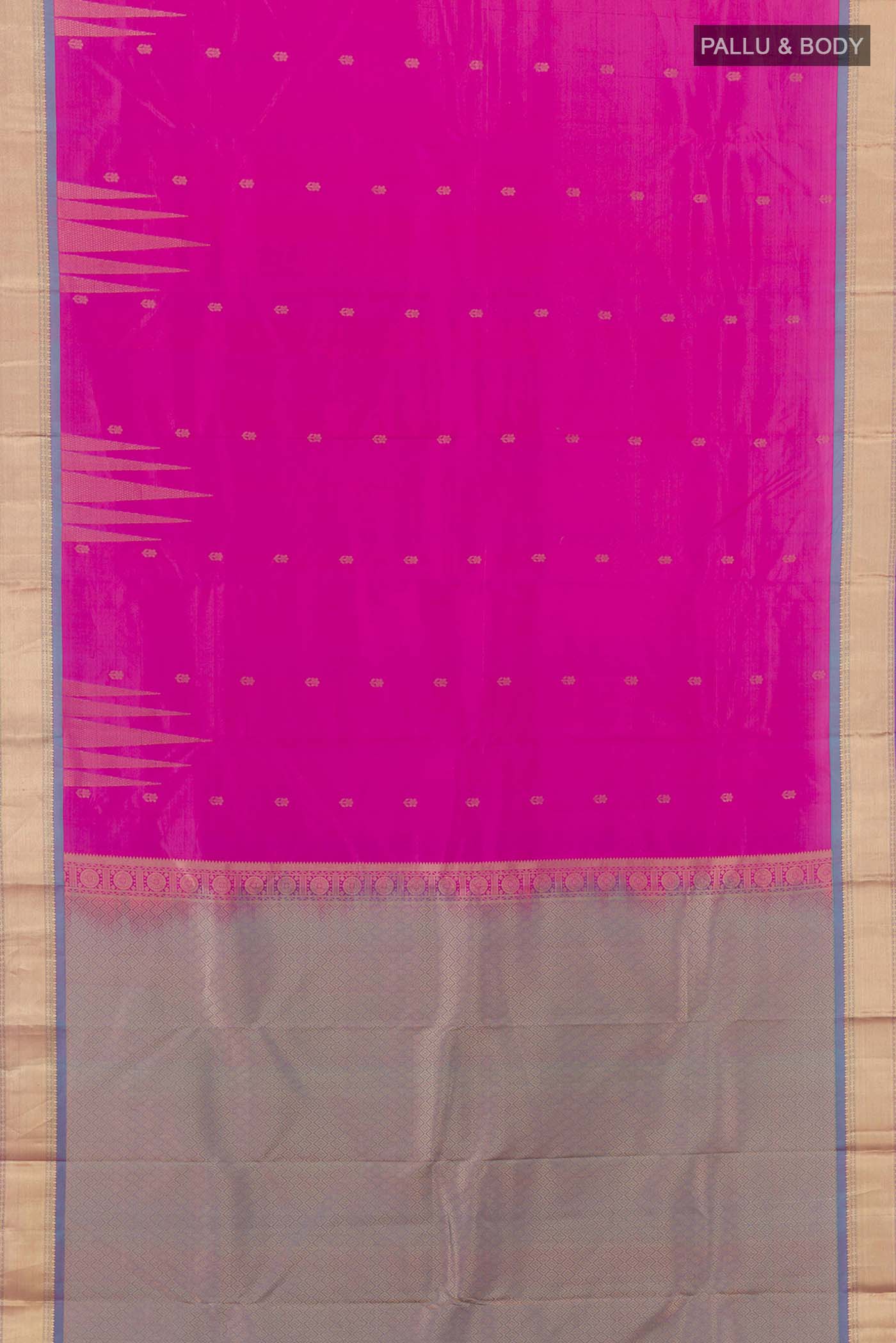 pallu body