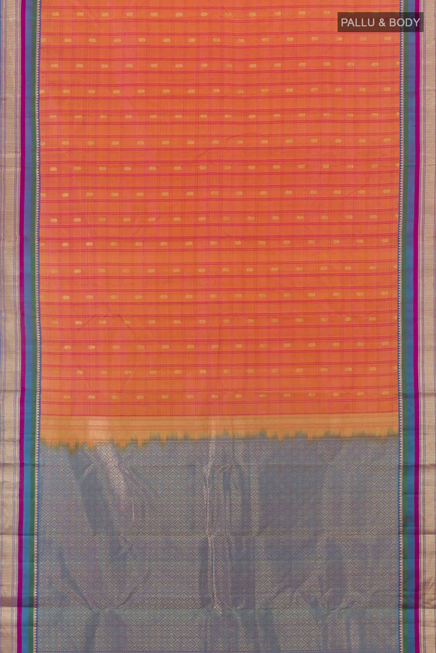 pallu body