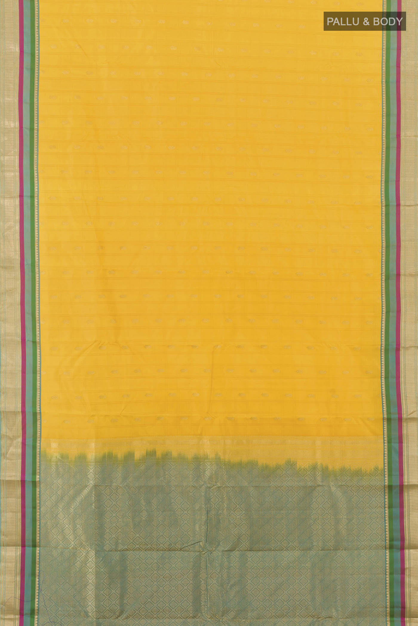 pallu body