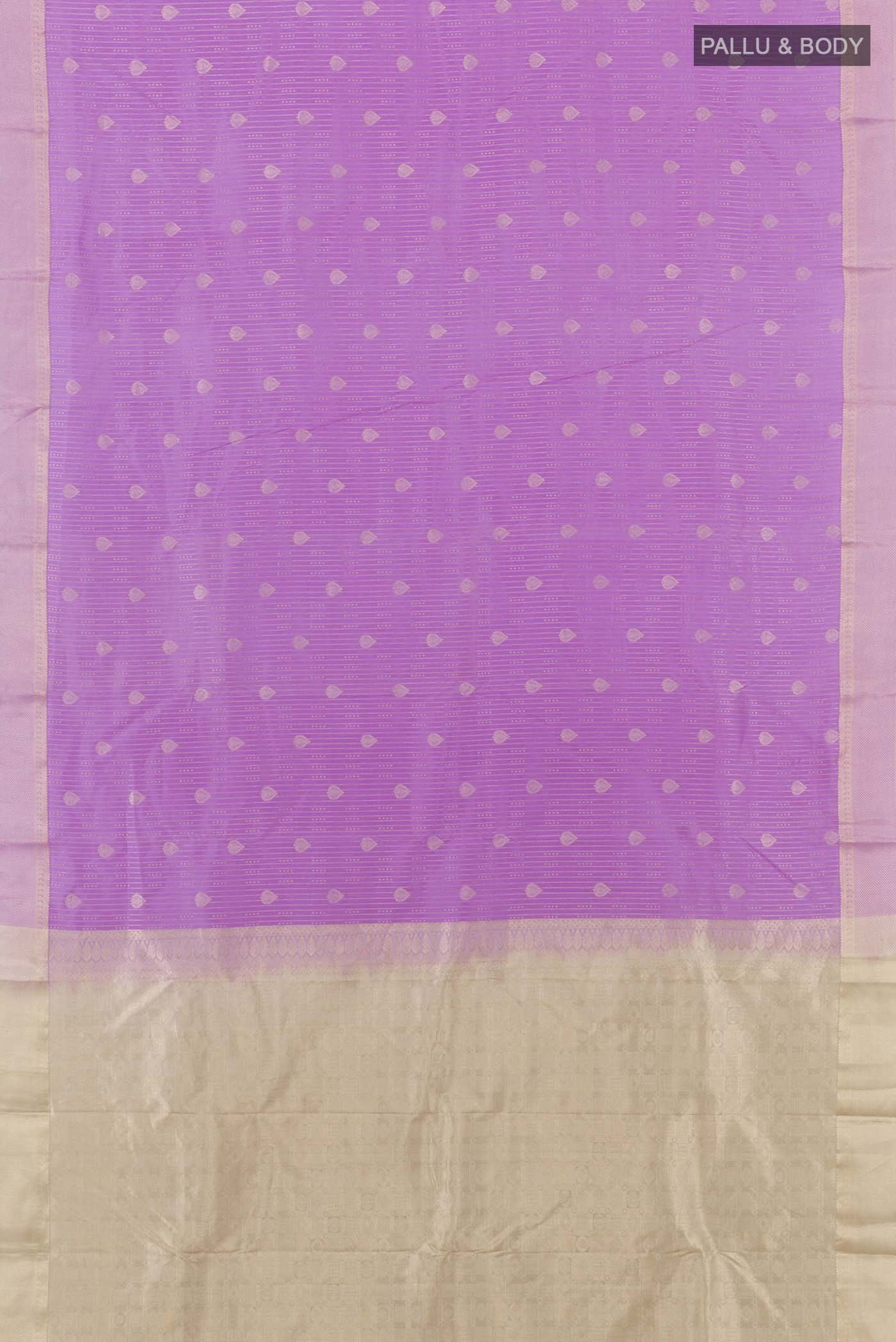 pallu body