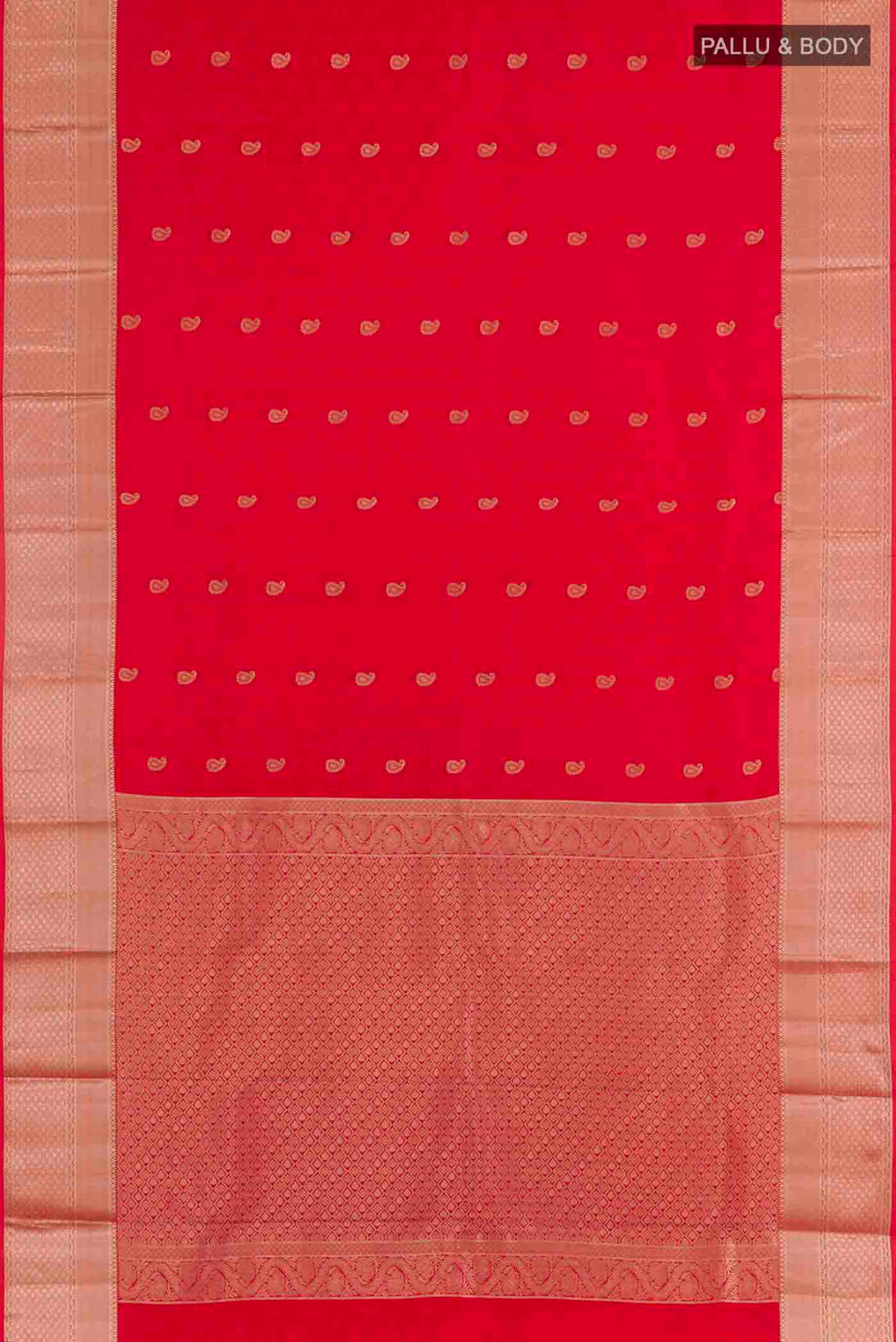 pallu body