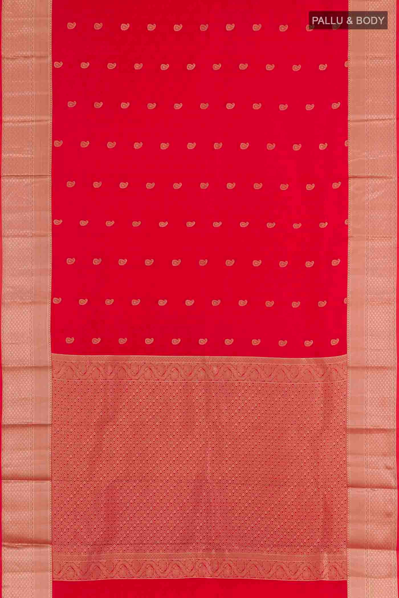 pallu body