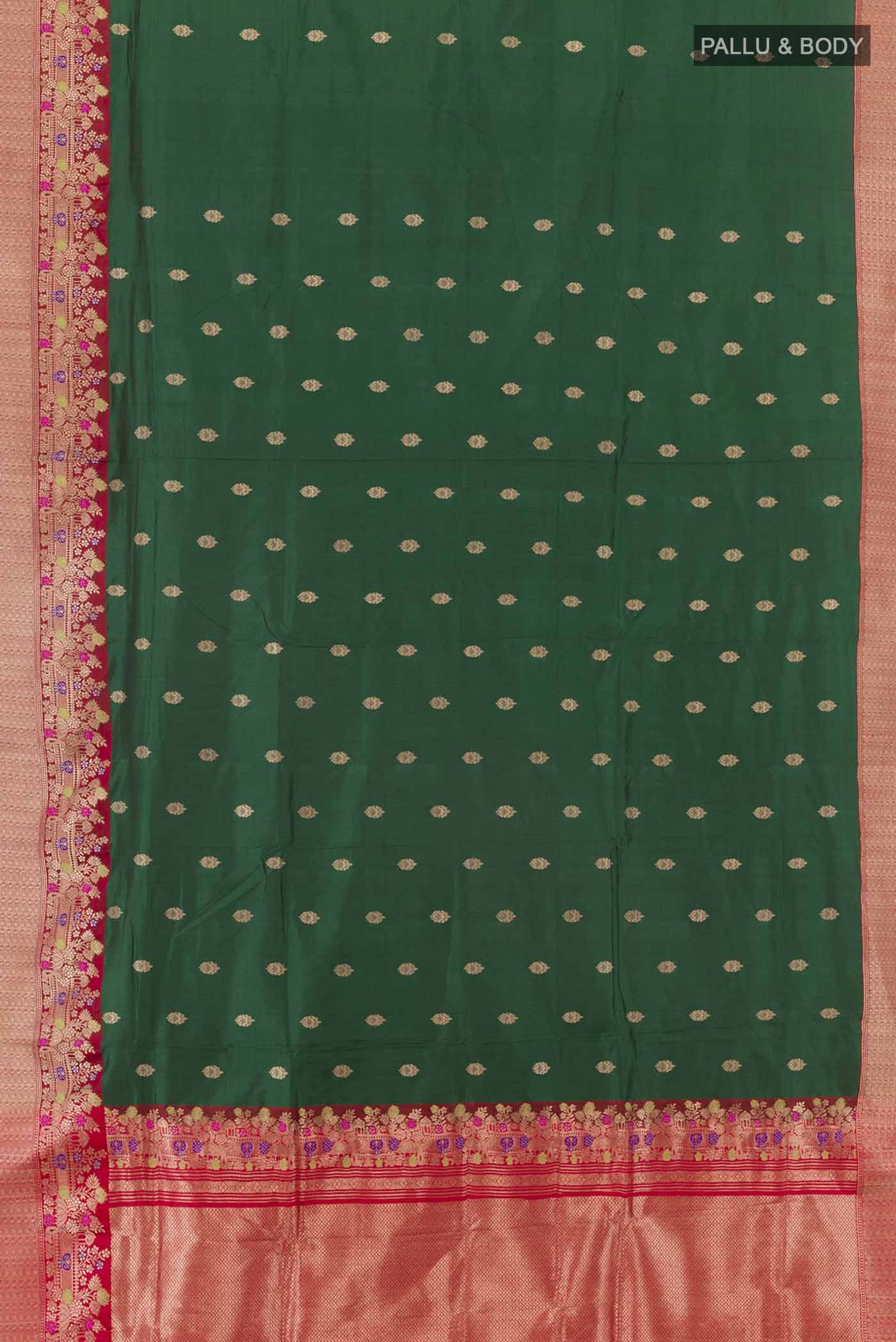 pallu body