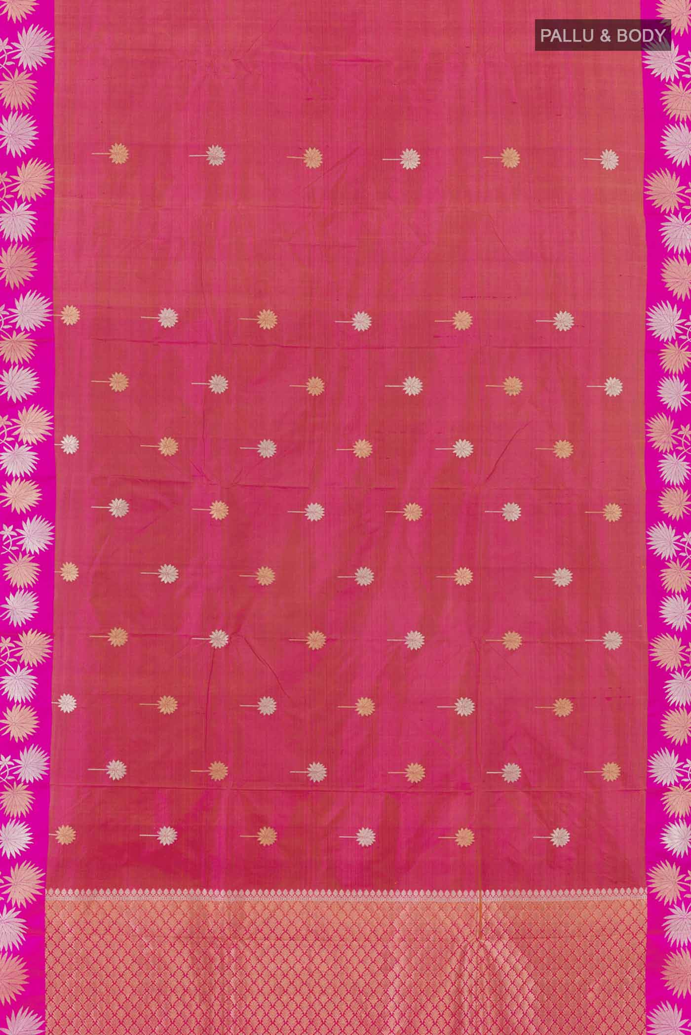 pallu body