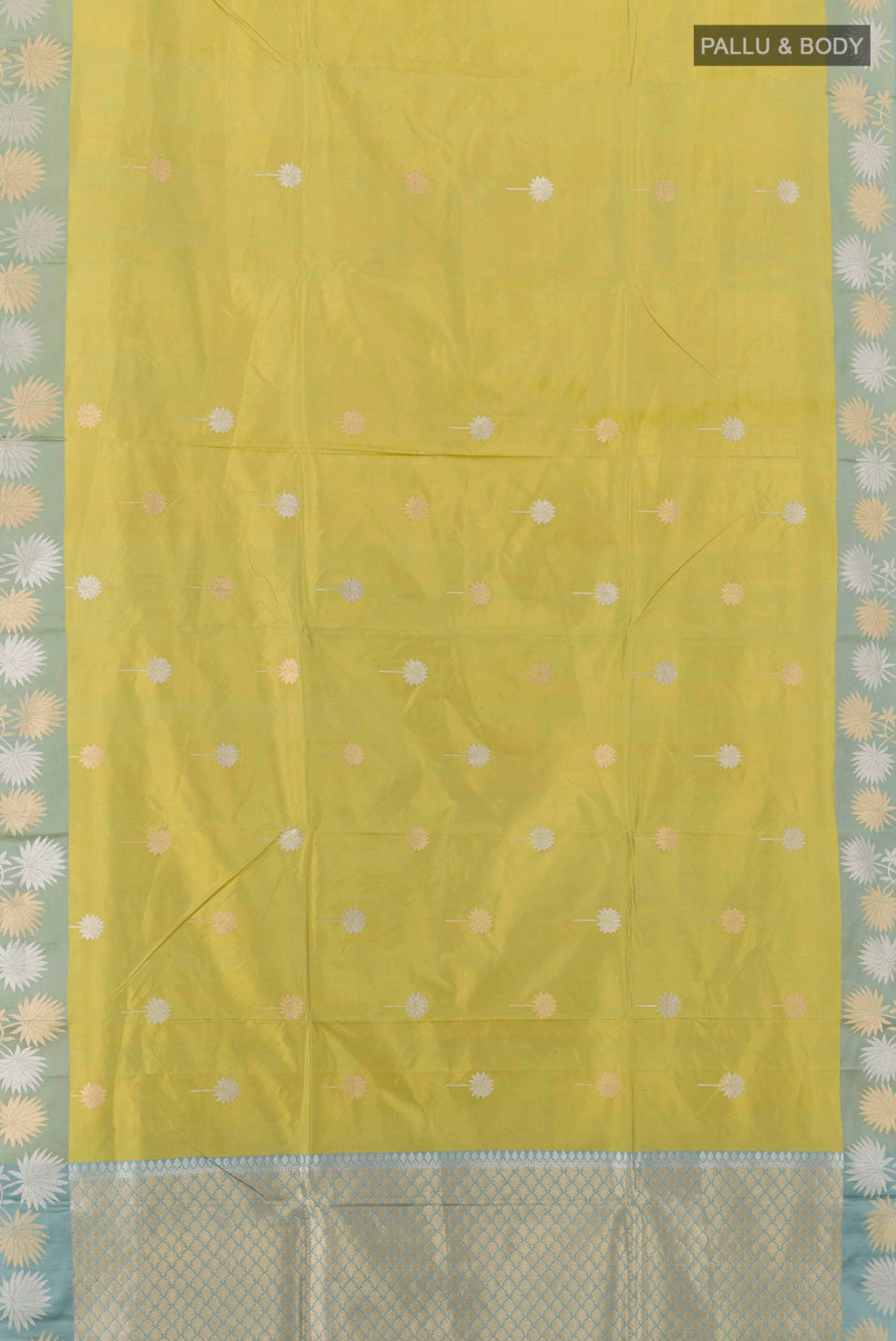 pallu body