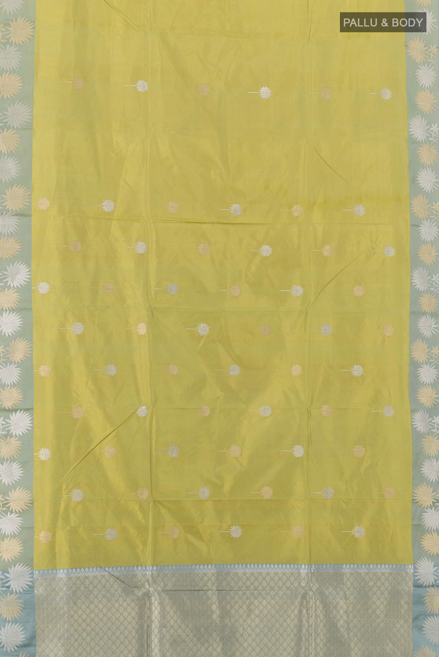 pallu body