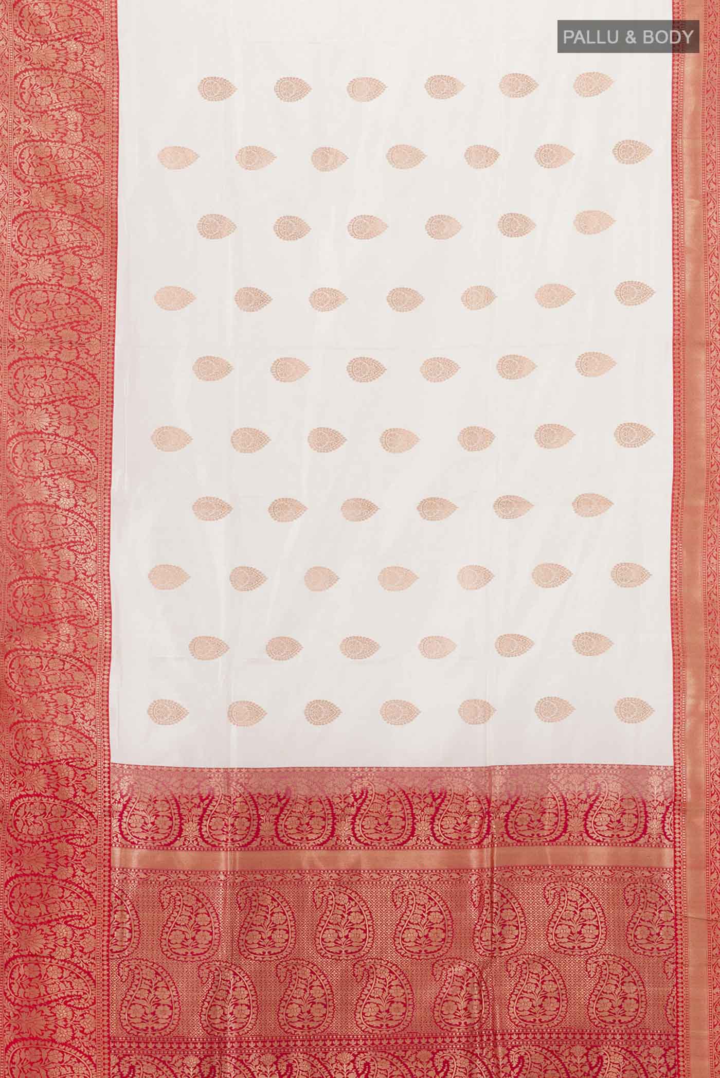 pallu body