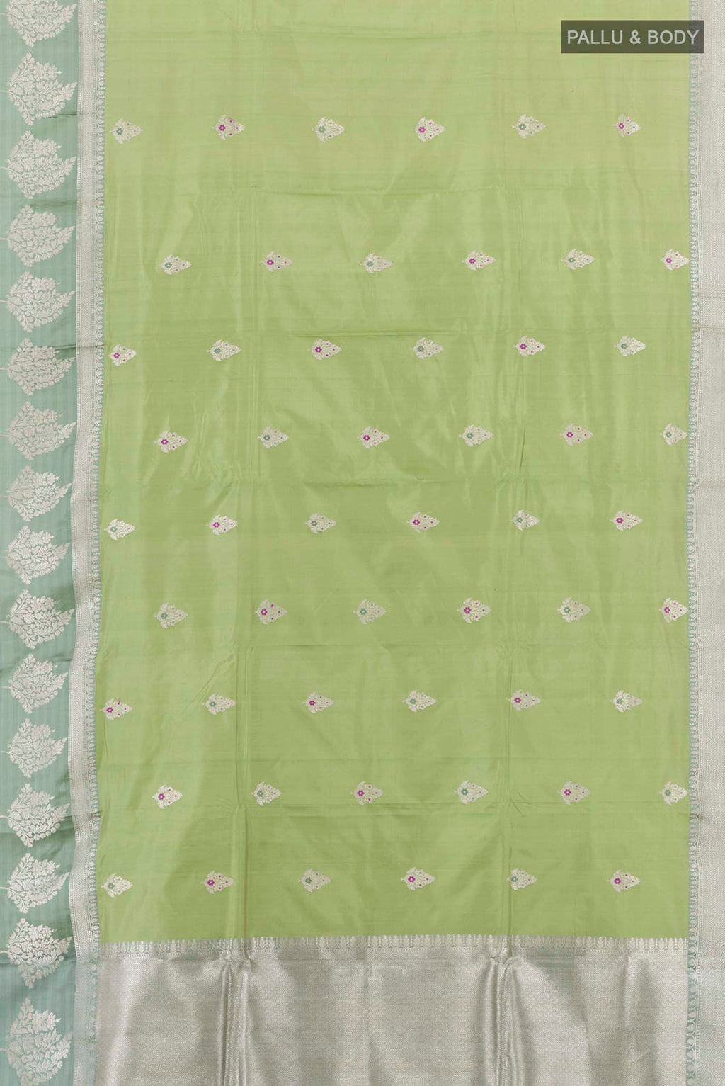 pallu body