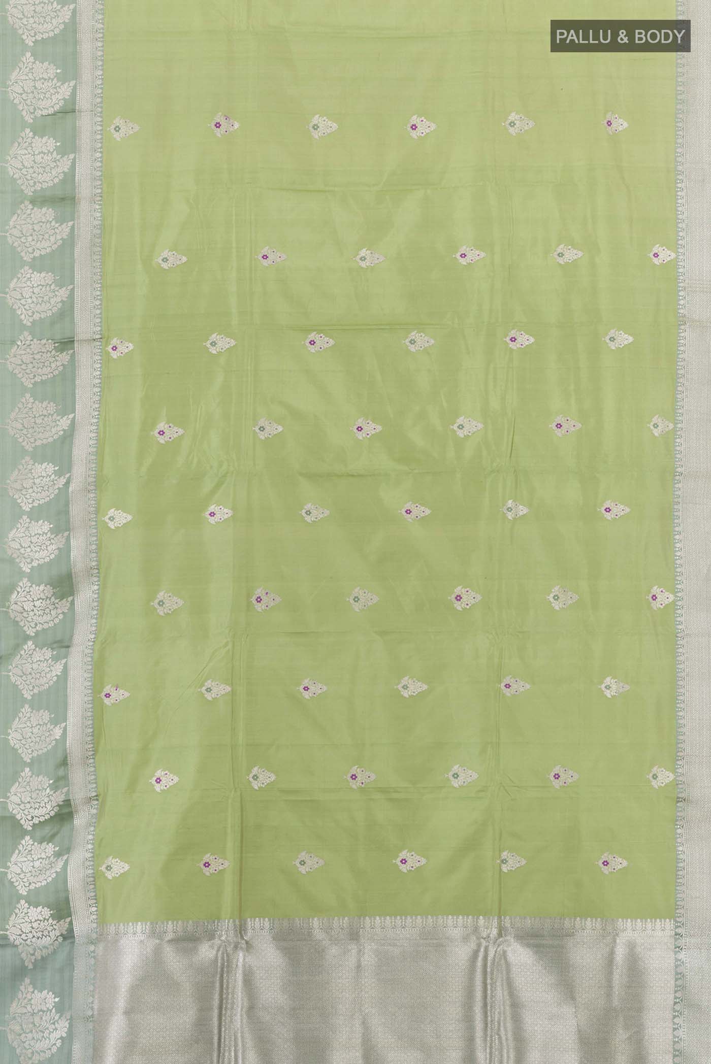 pallu body