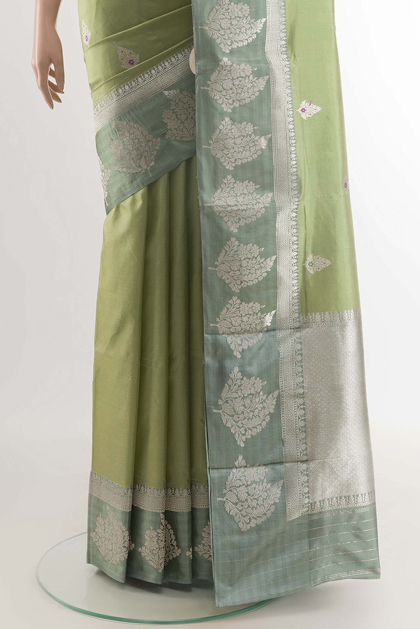 pleats pallu