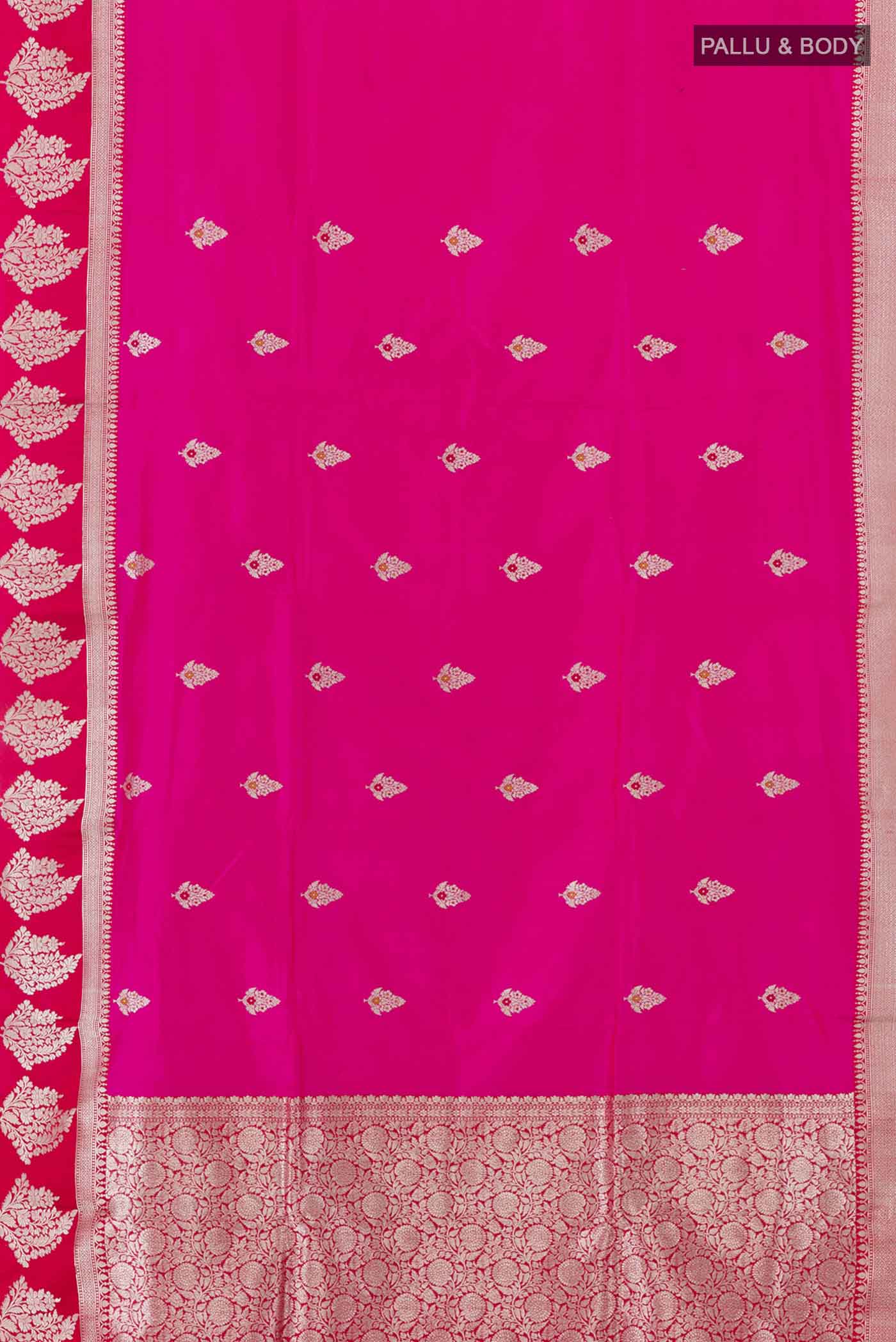 pallu body