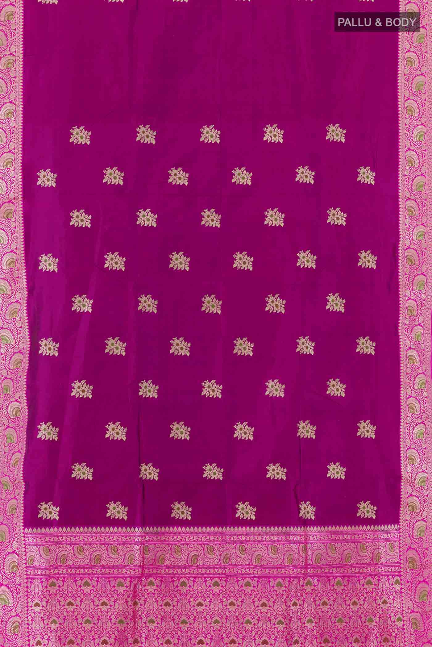 pallu body