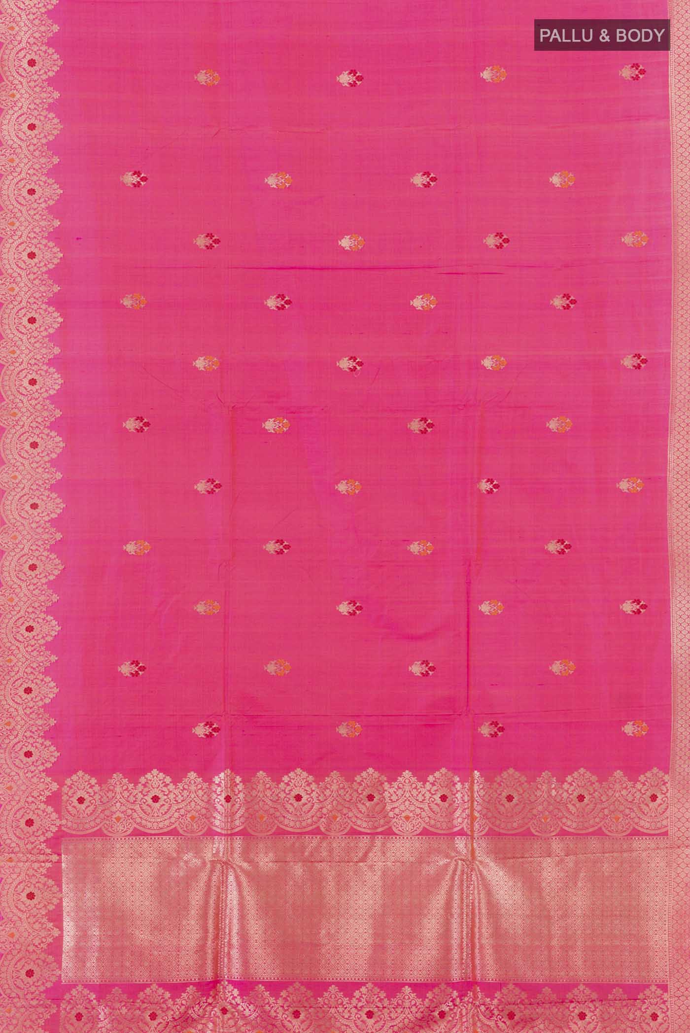 pallu body