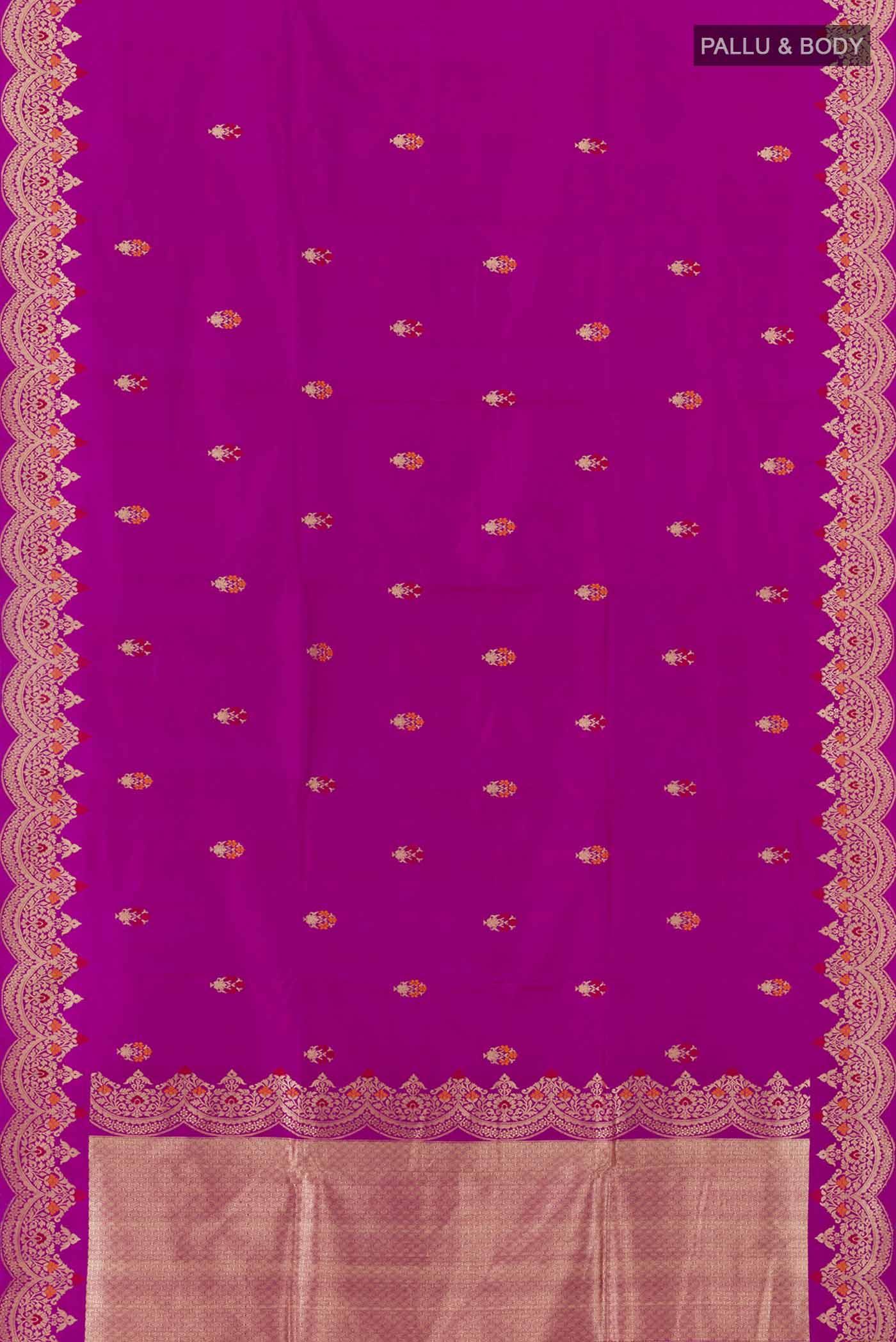 pallu body