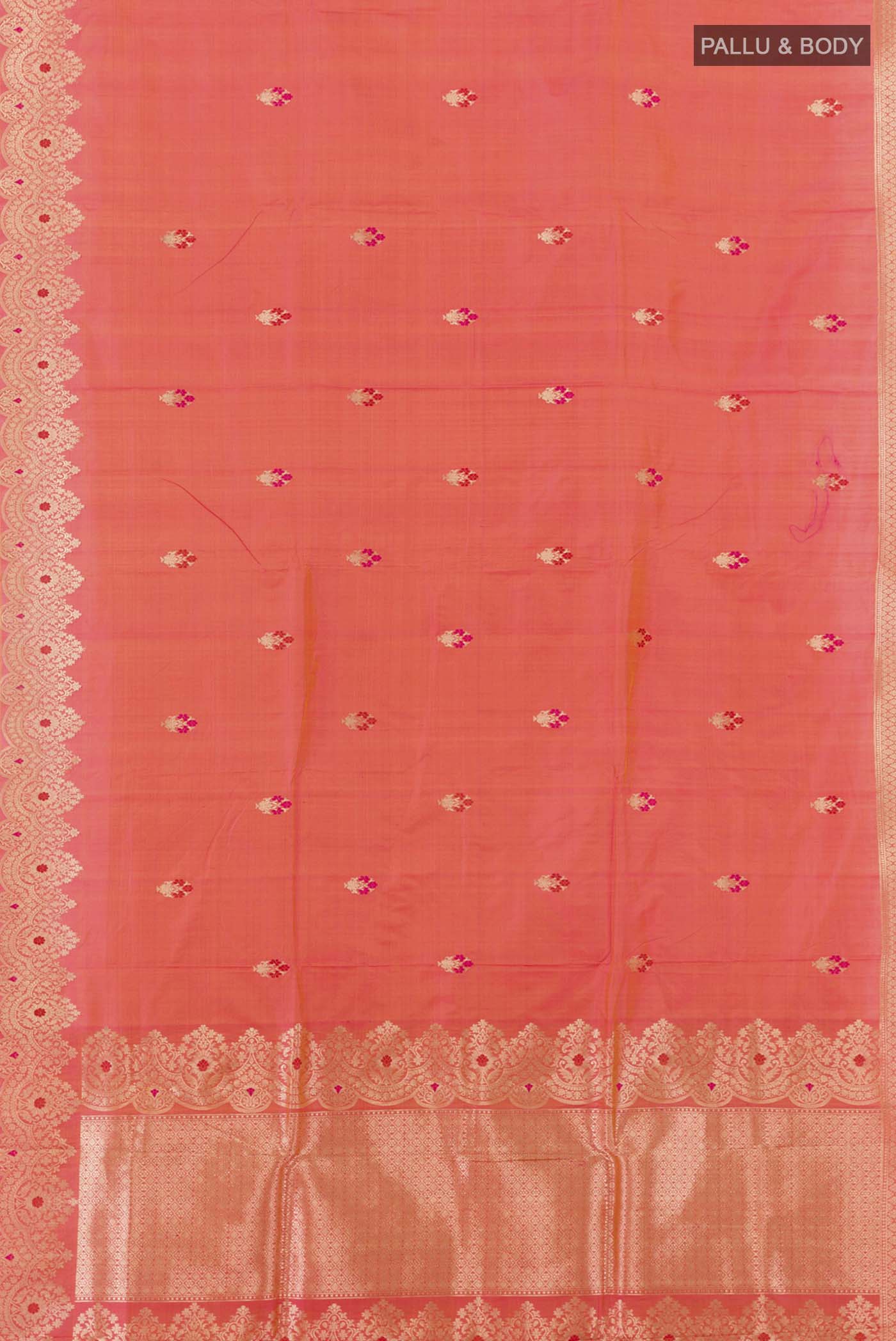 pallu body