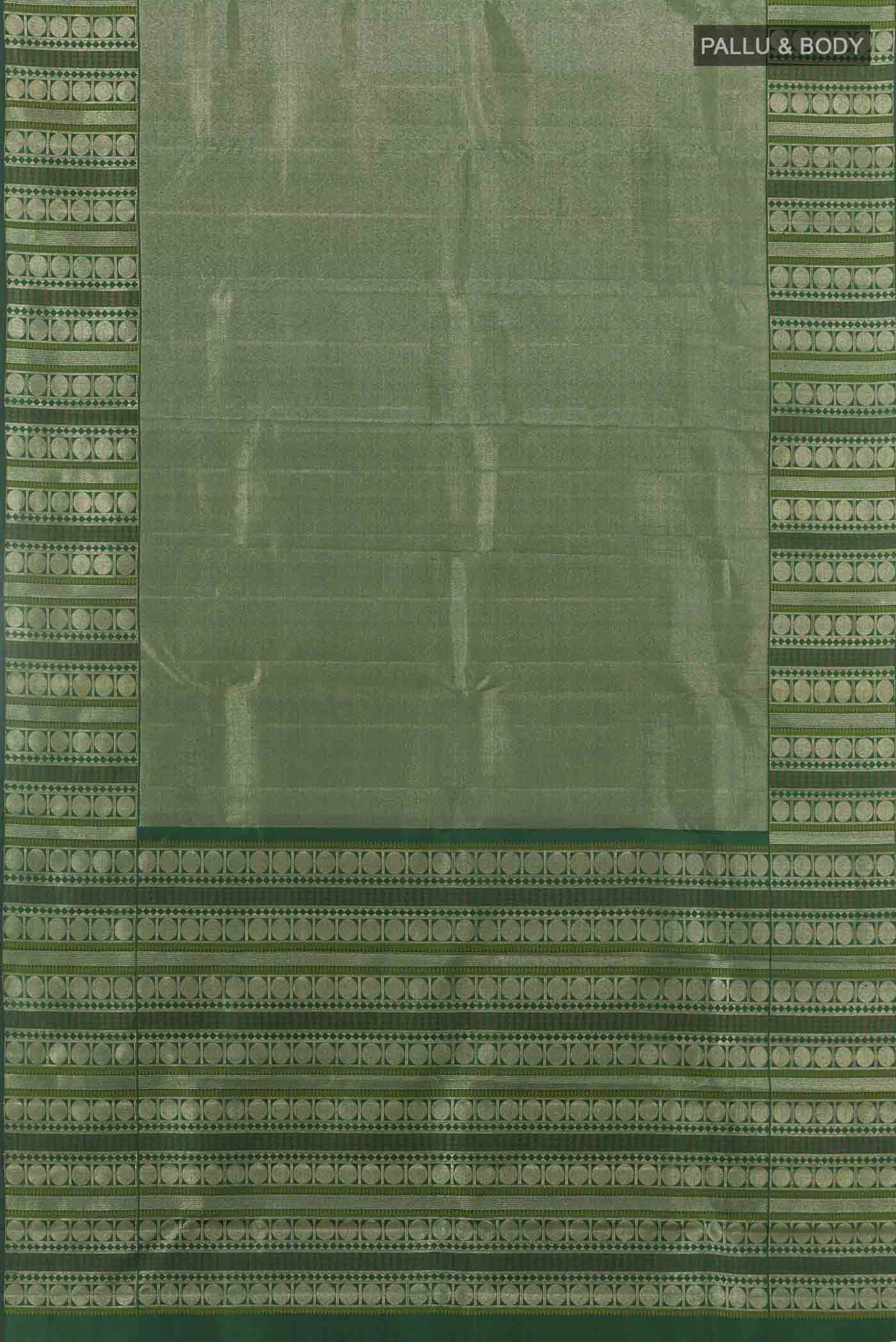 pallu body