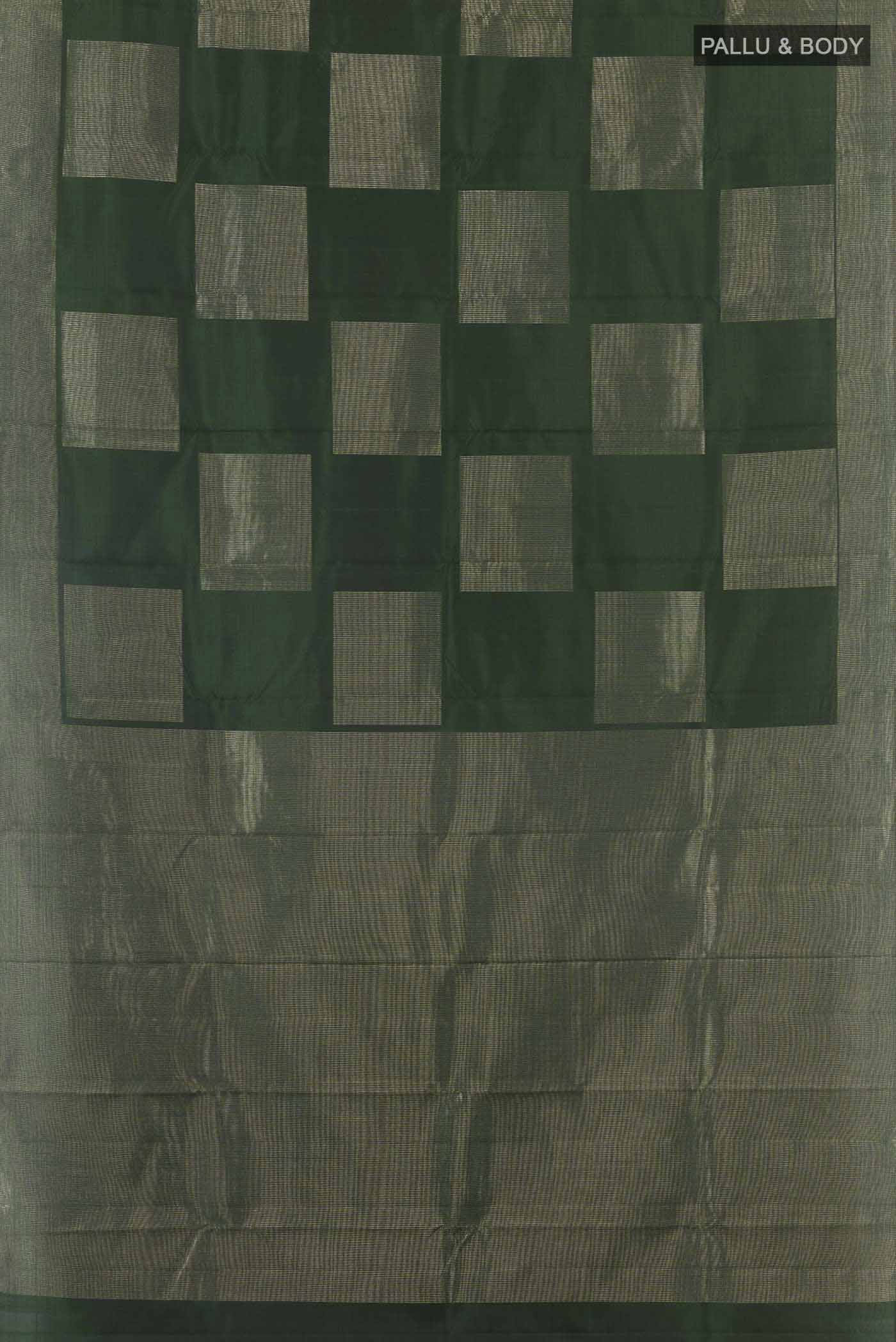 pallu body