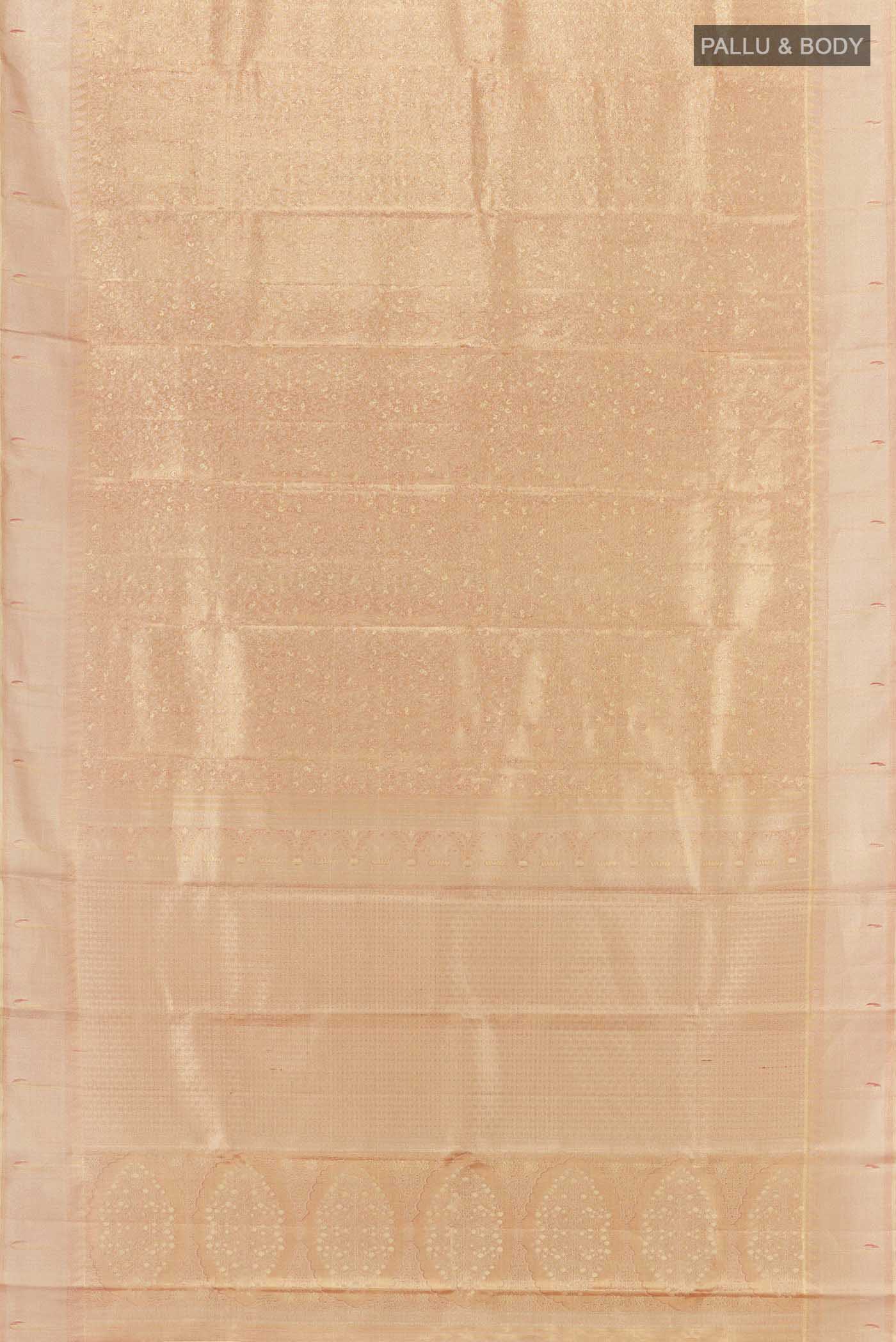 pallu body