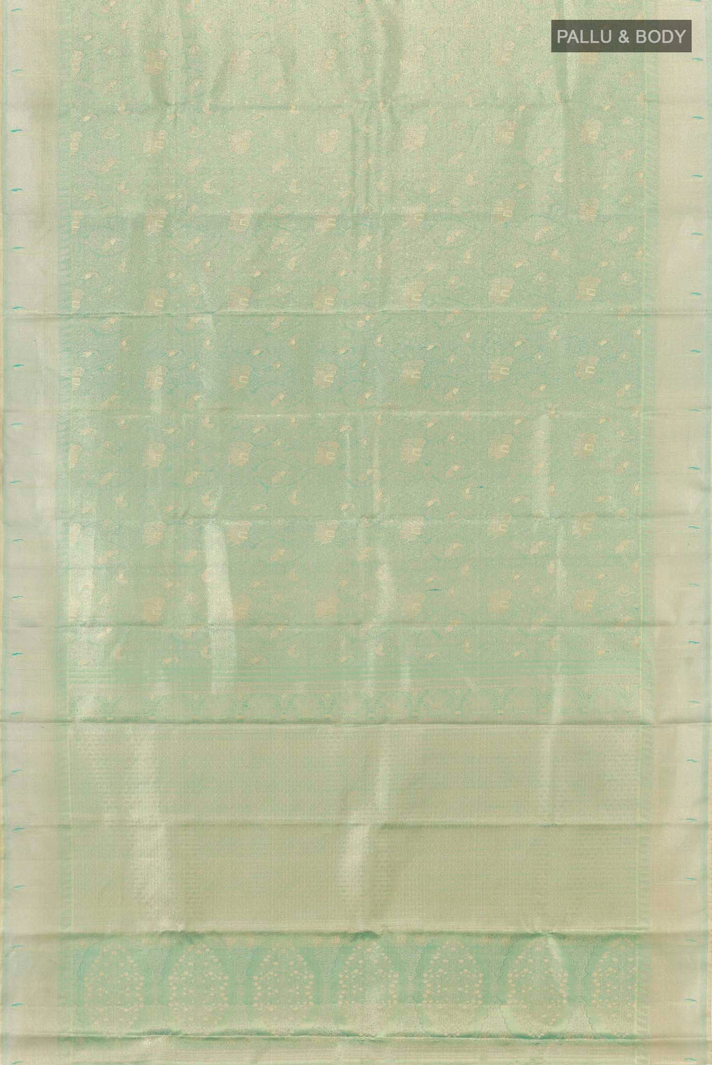 pallu body