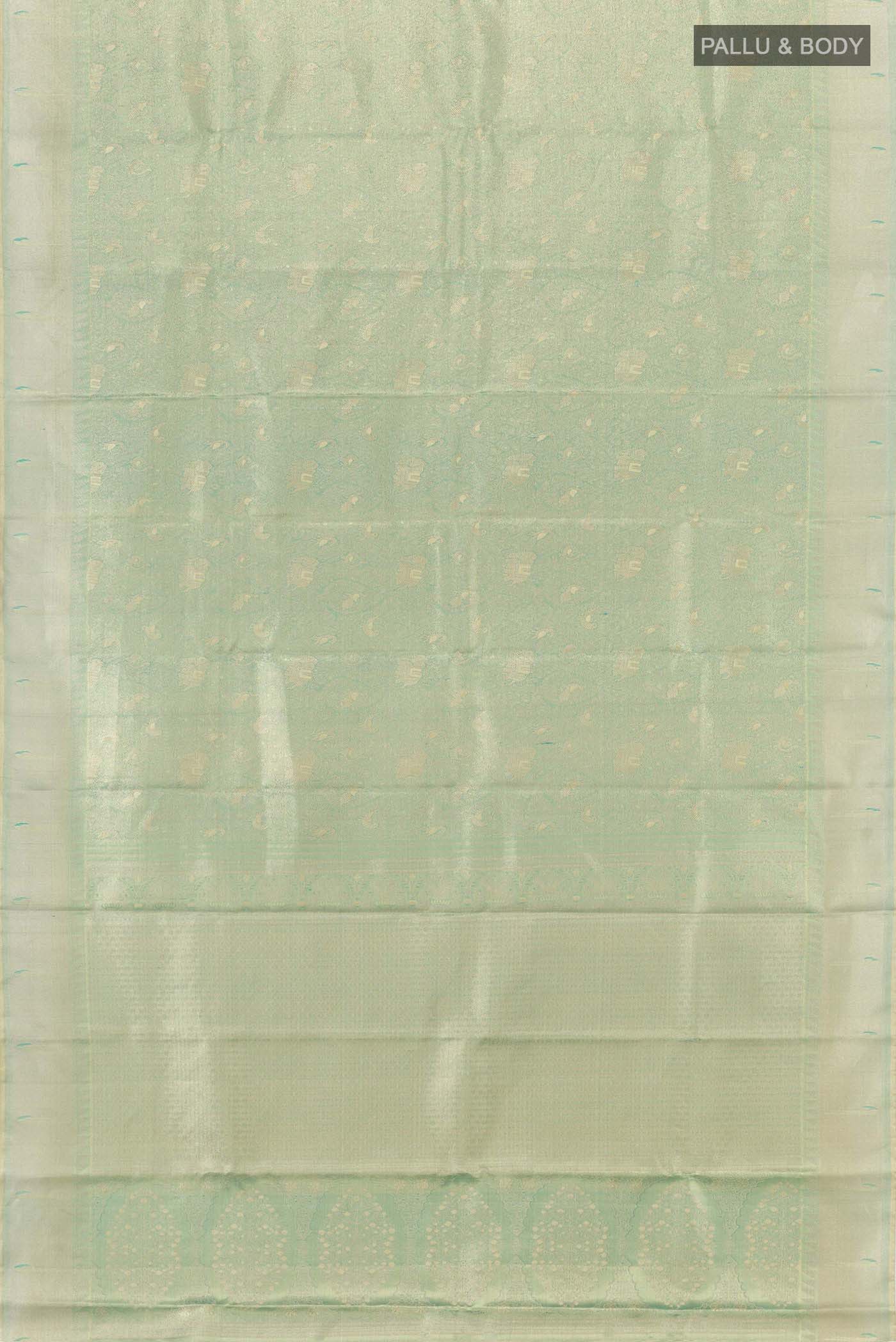pallu body