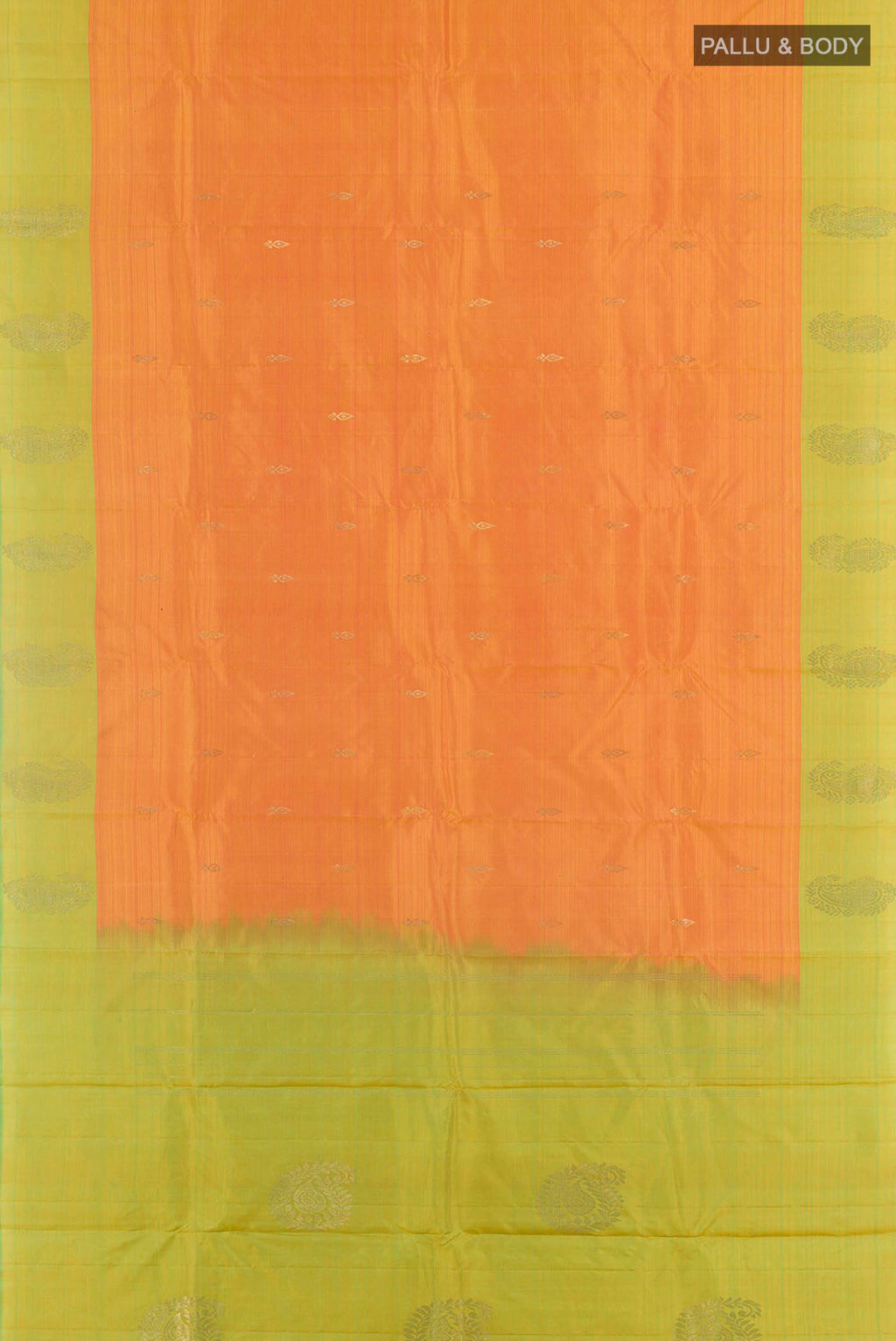 pallu body