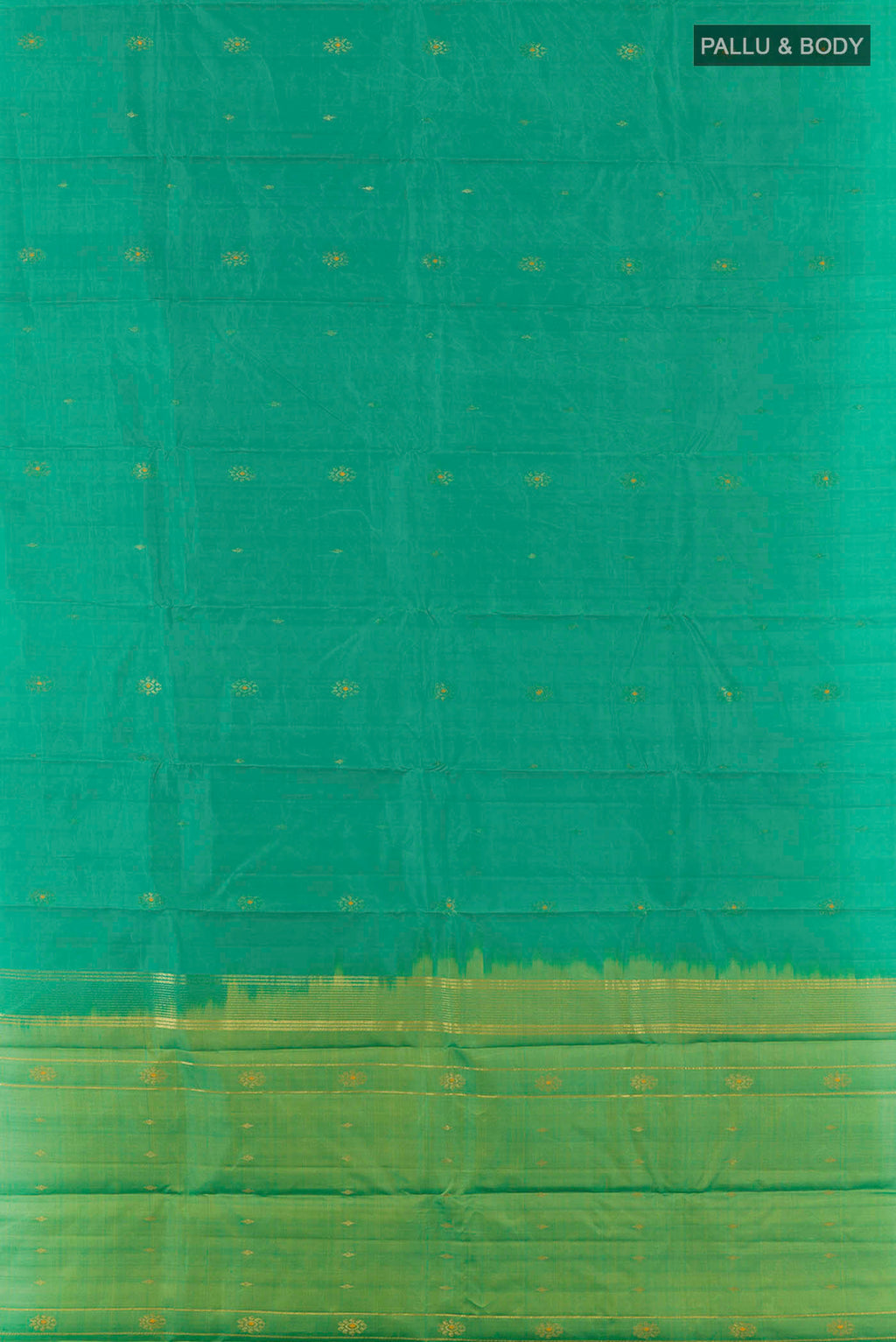 pallu body