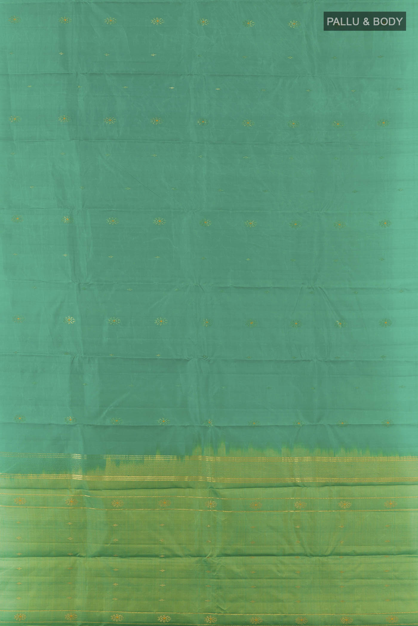 pallu body