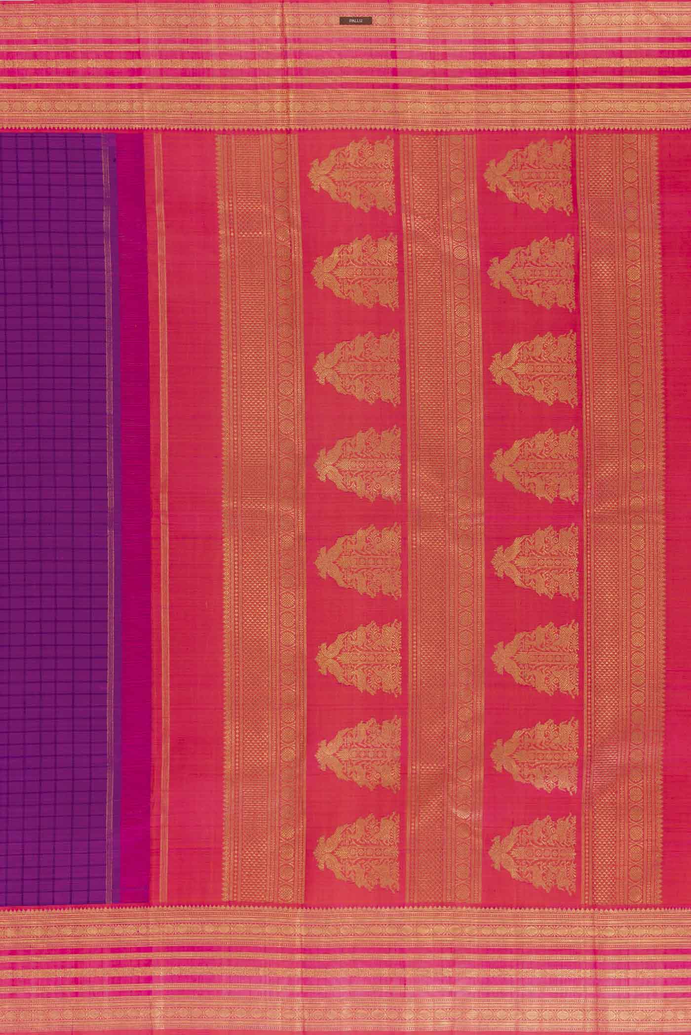 pallu_closeup