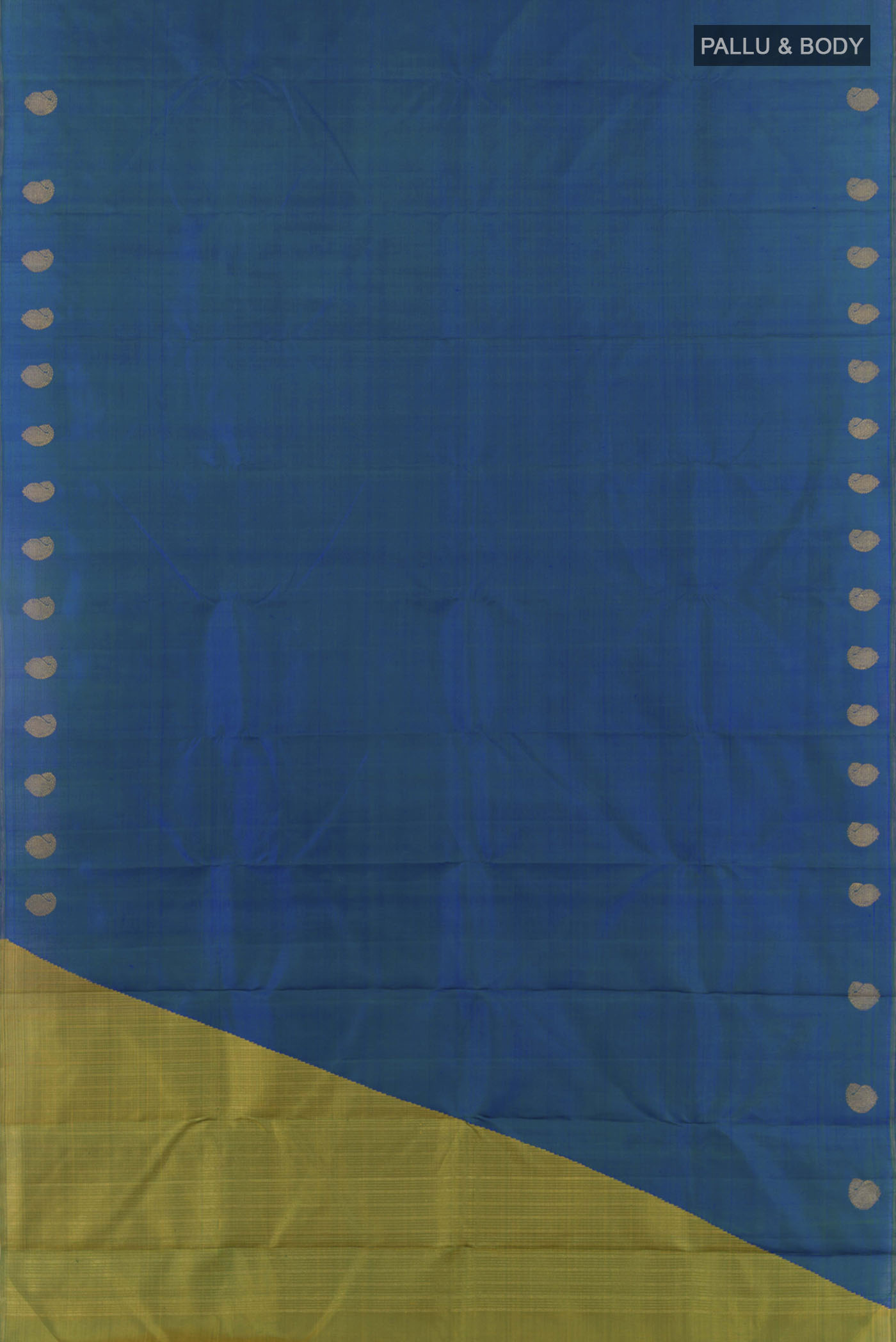 pallu body