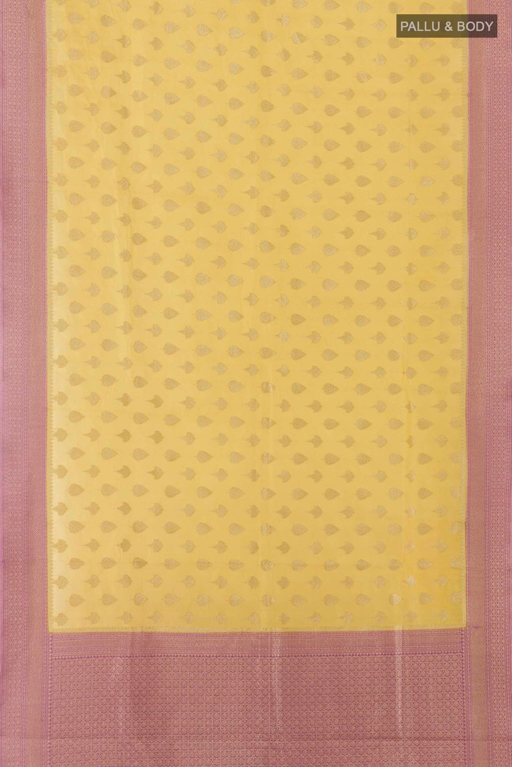 pallu body