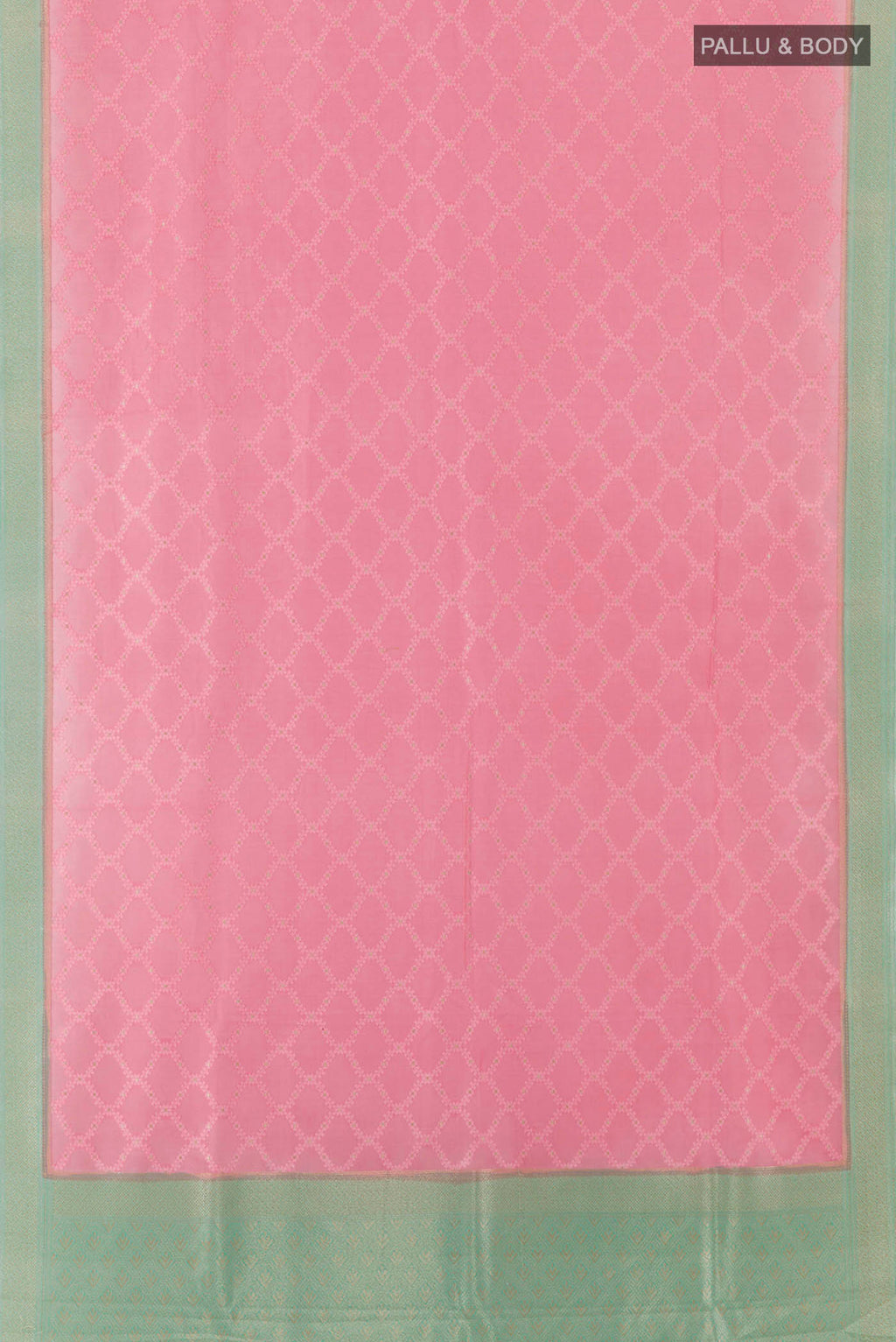 pallu body