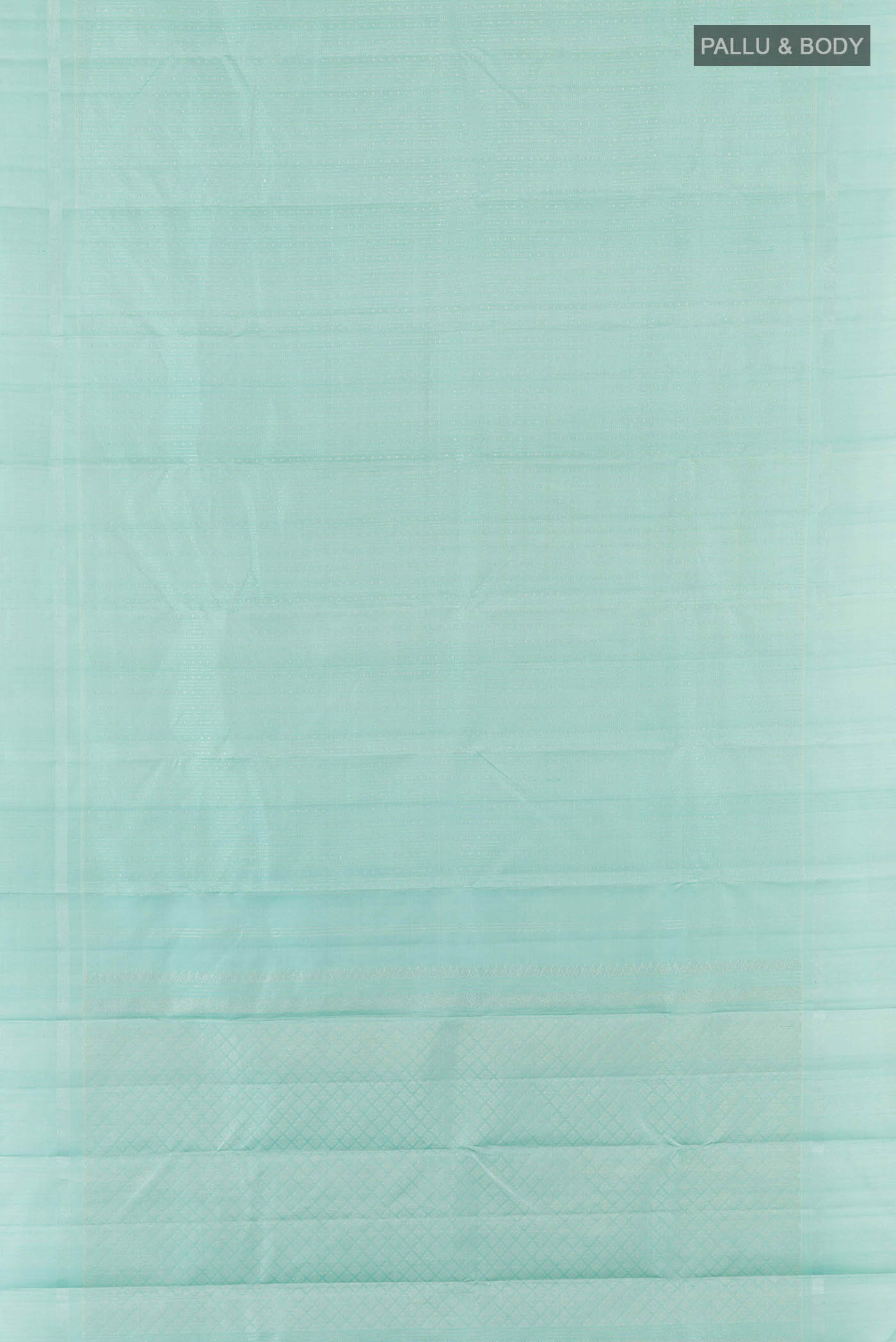 pallu body