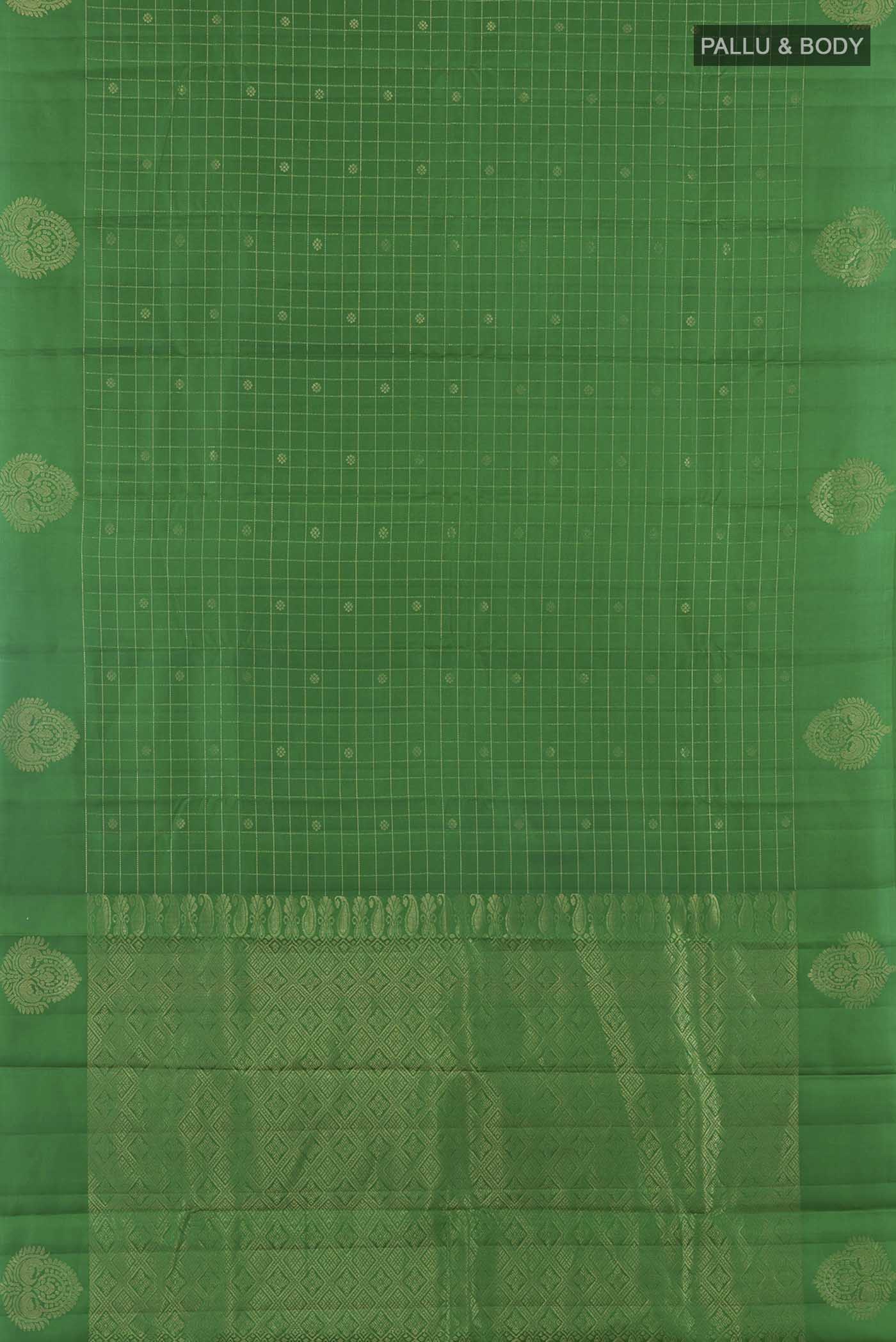 pallu body