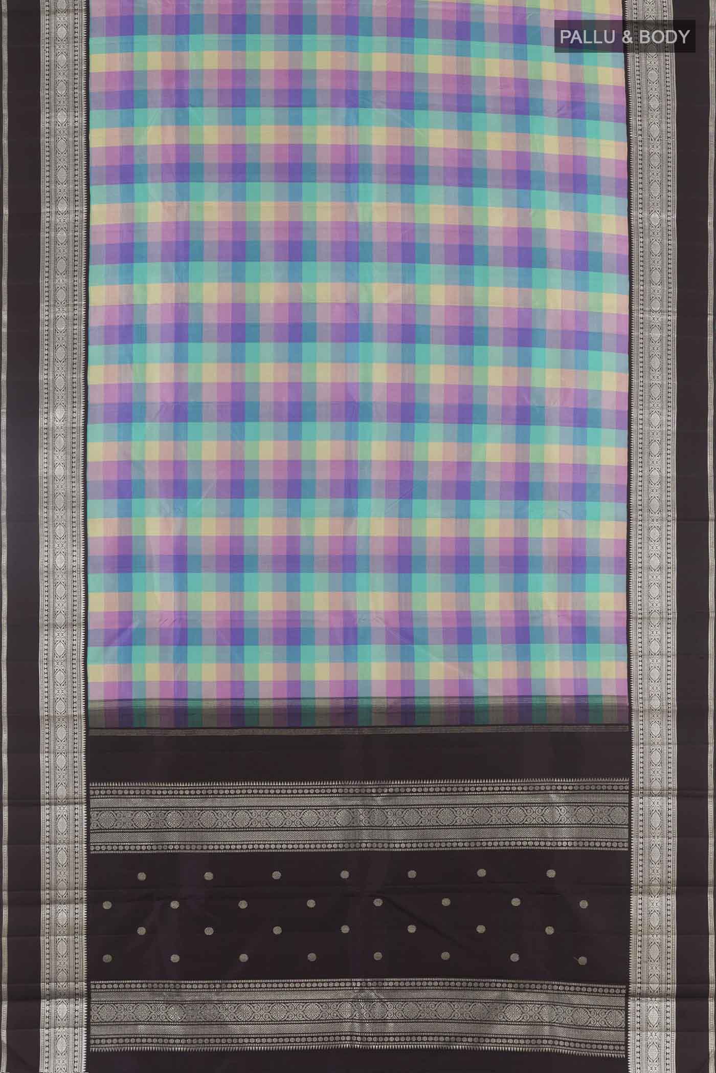 pallu body