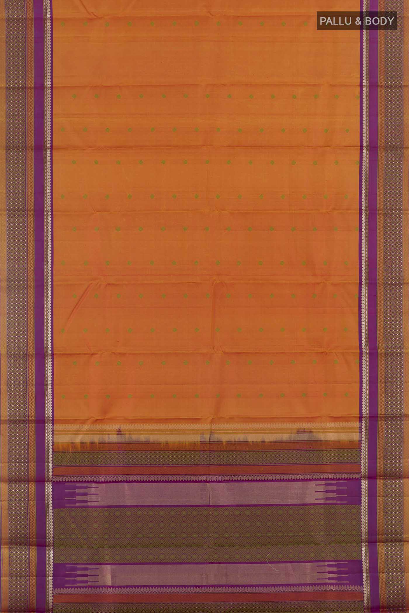 pallu body