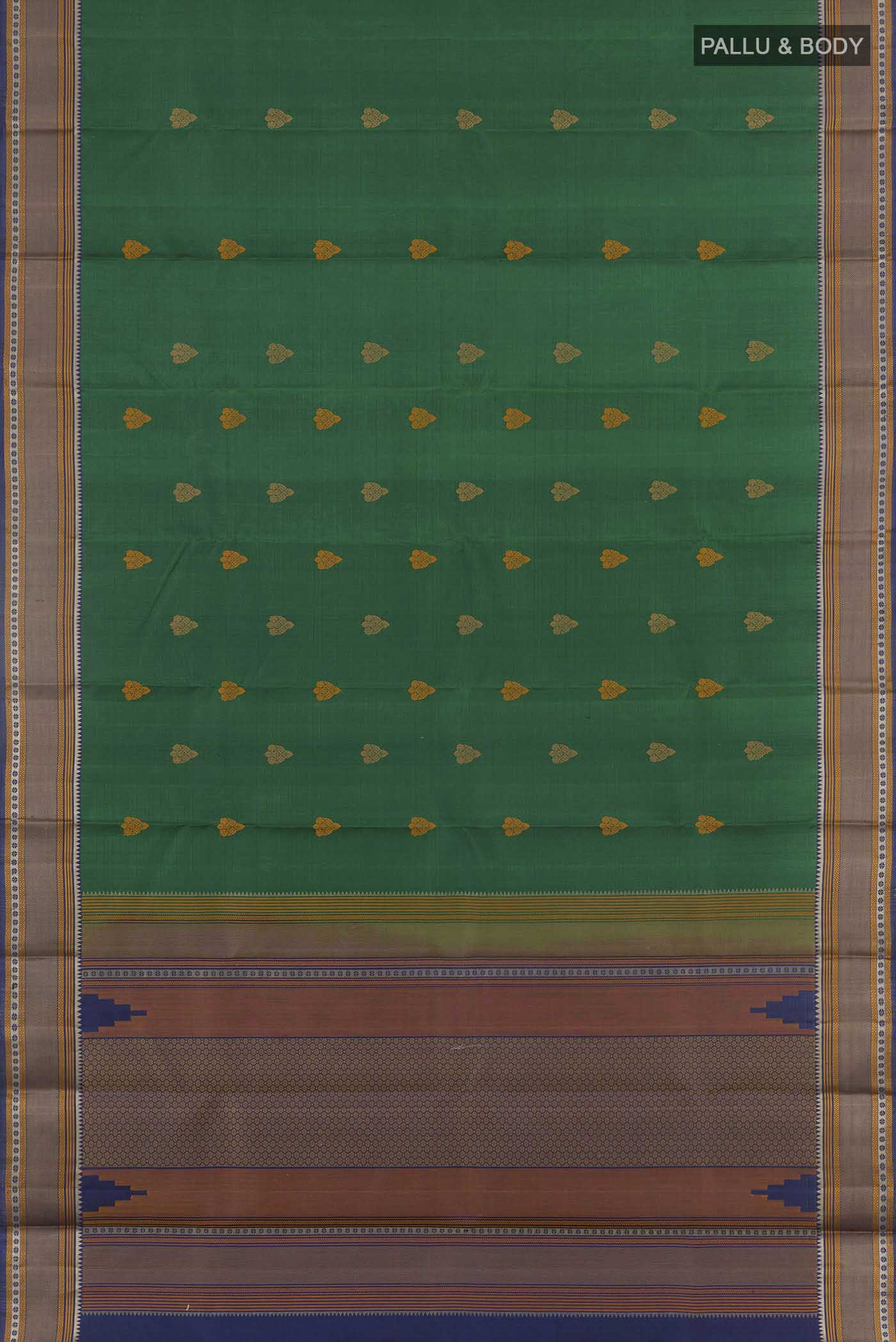 pallu body