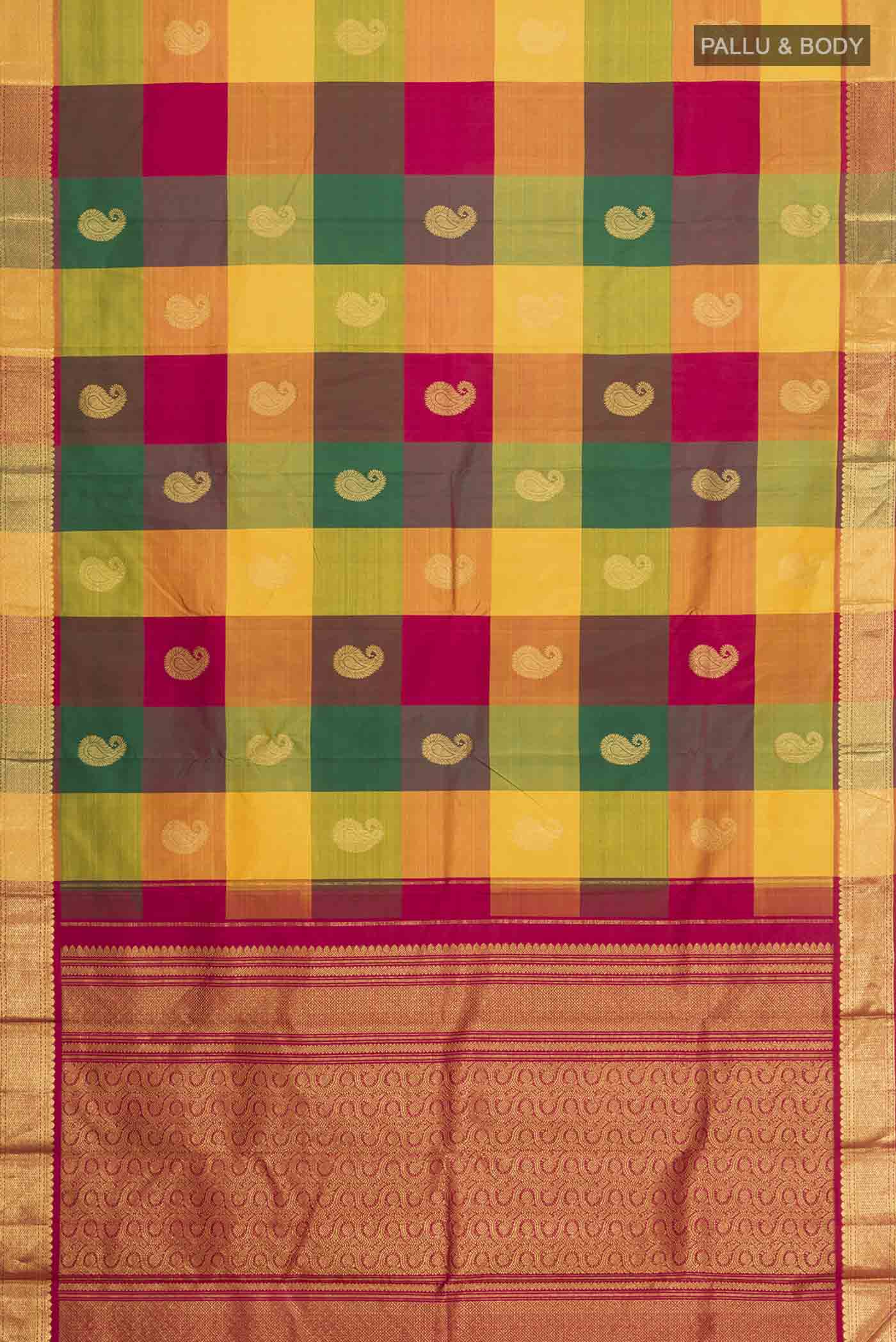 pallu body