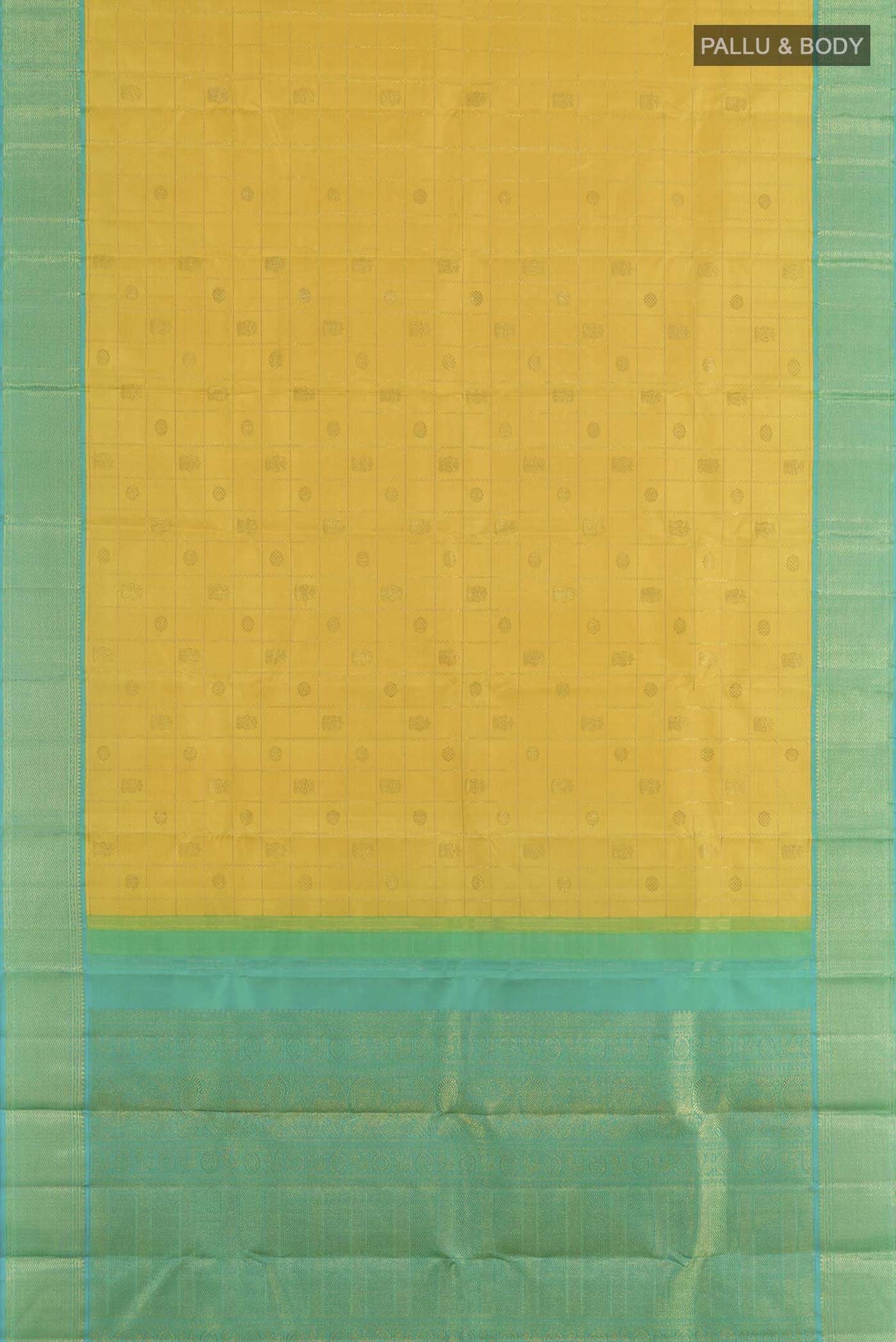 pallu body