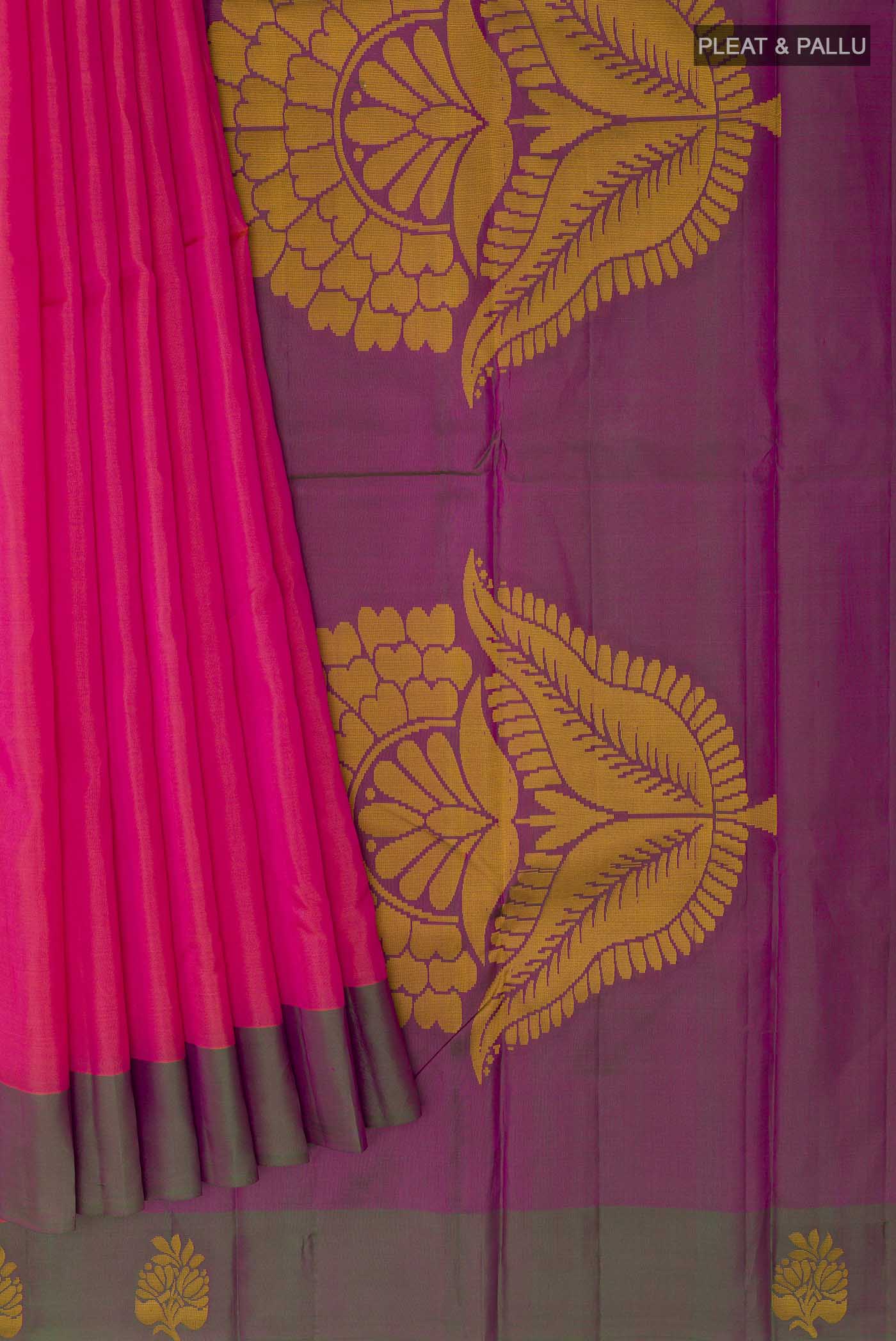 pleats pallu