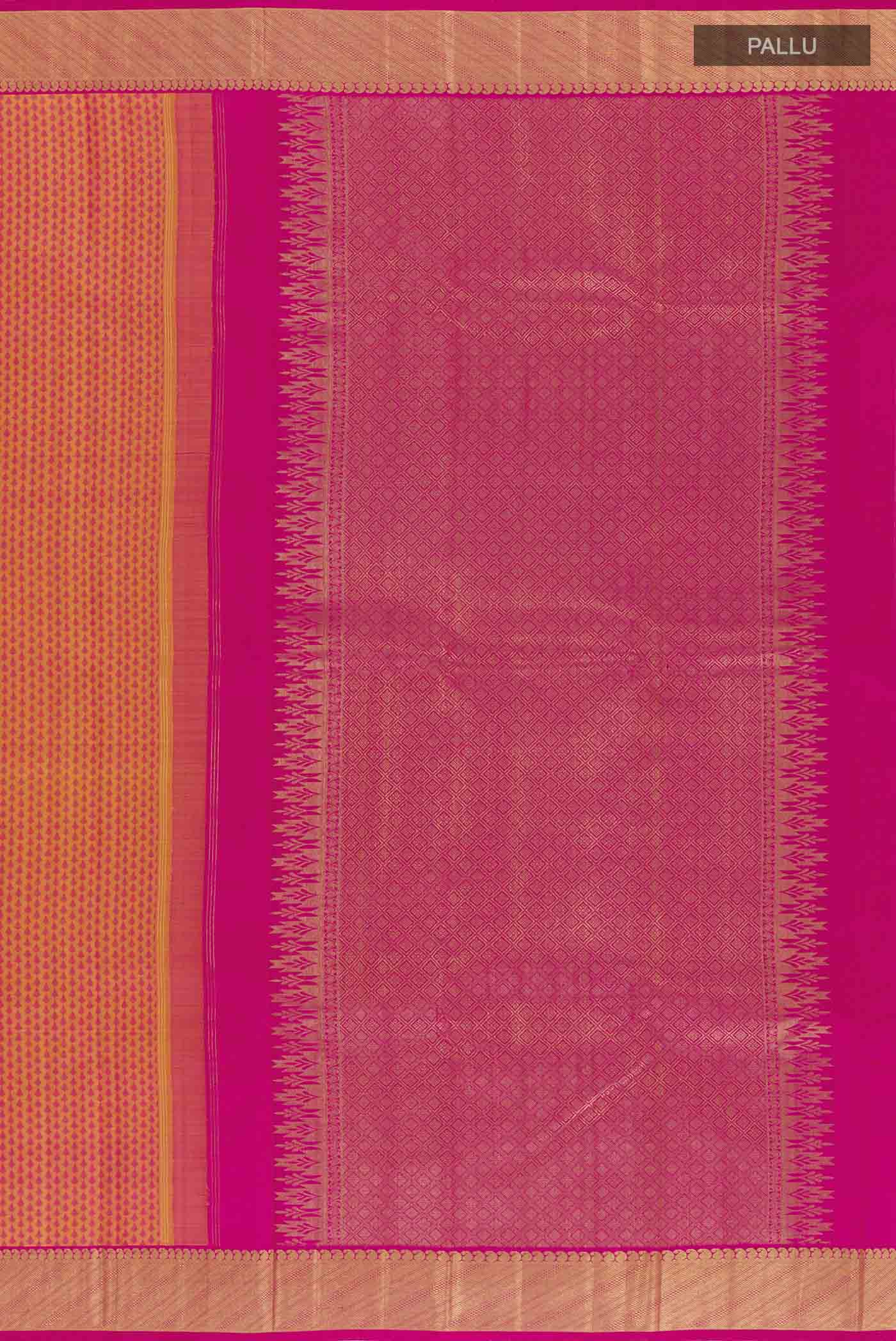 pallu_closeup