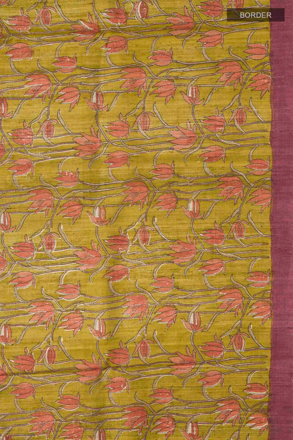 Border image of Green Bhagalpuri Tussar Silk Saree with Printed design on the body and Plain Border