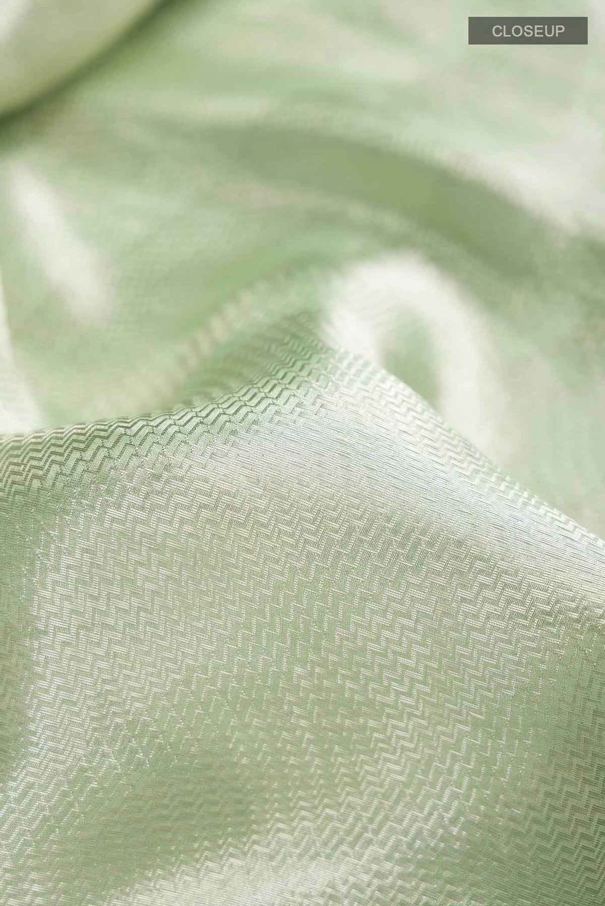 Close up of Mint Green Tissue Silk Saree with Zari Brocade on the body and Embroidery Border displaying folds